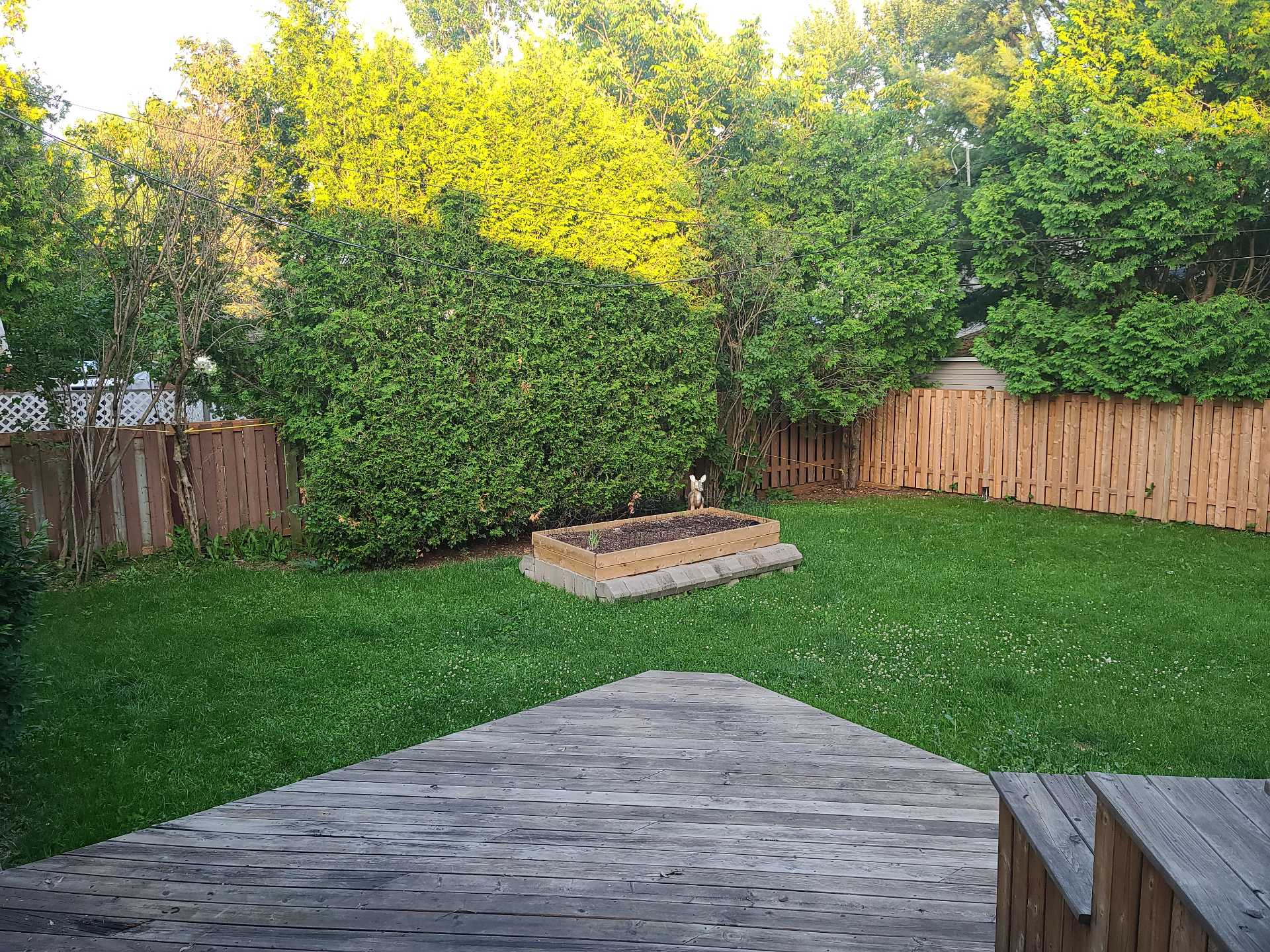 Backyard