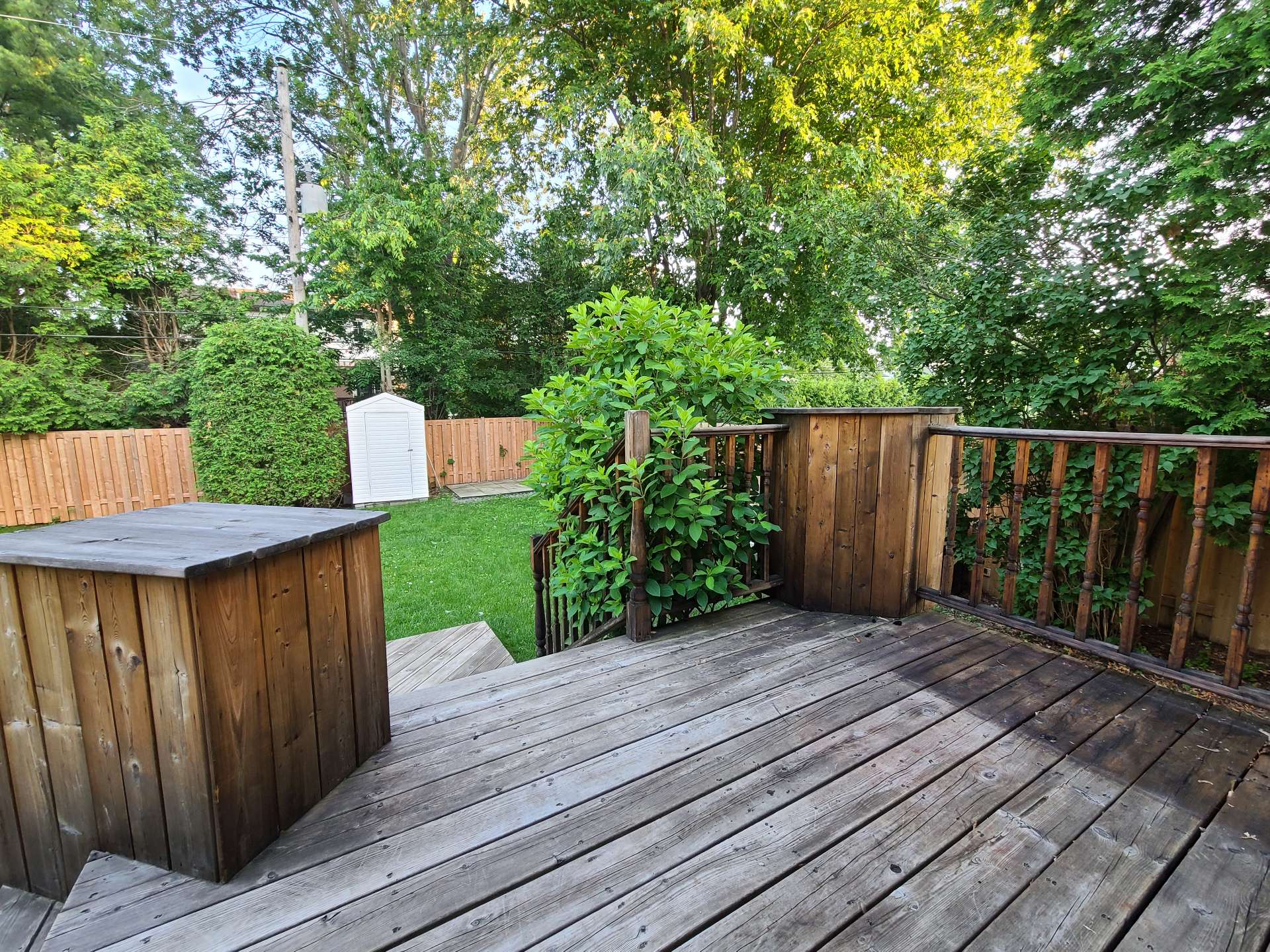 Backyard