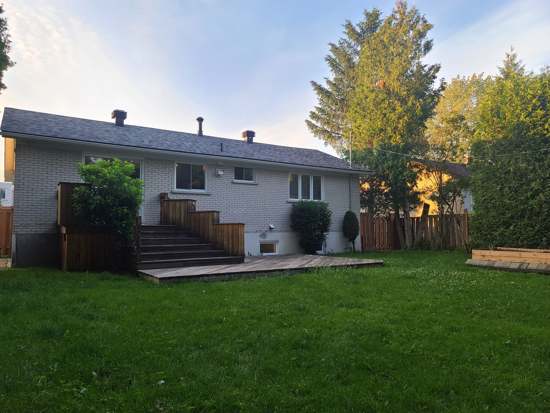 Backyard