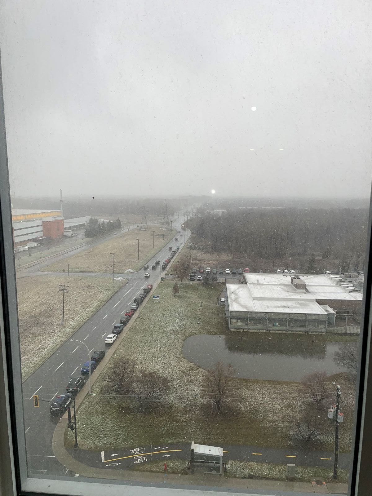 View