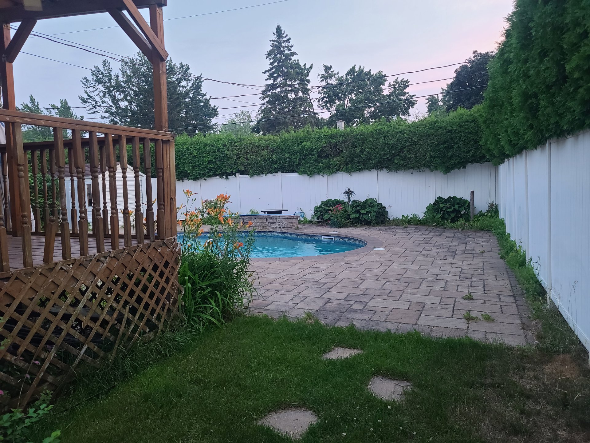 Backyard
