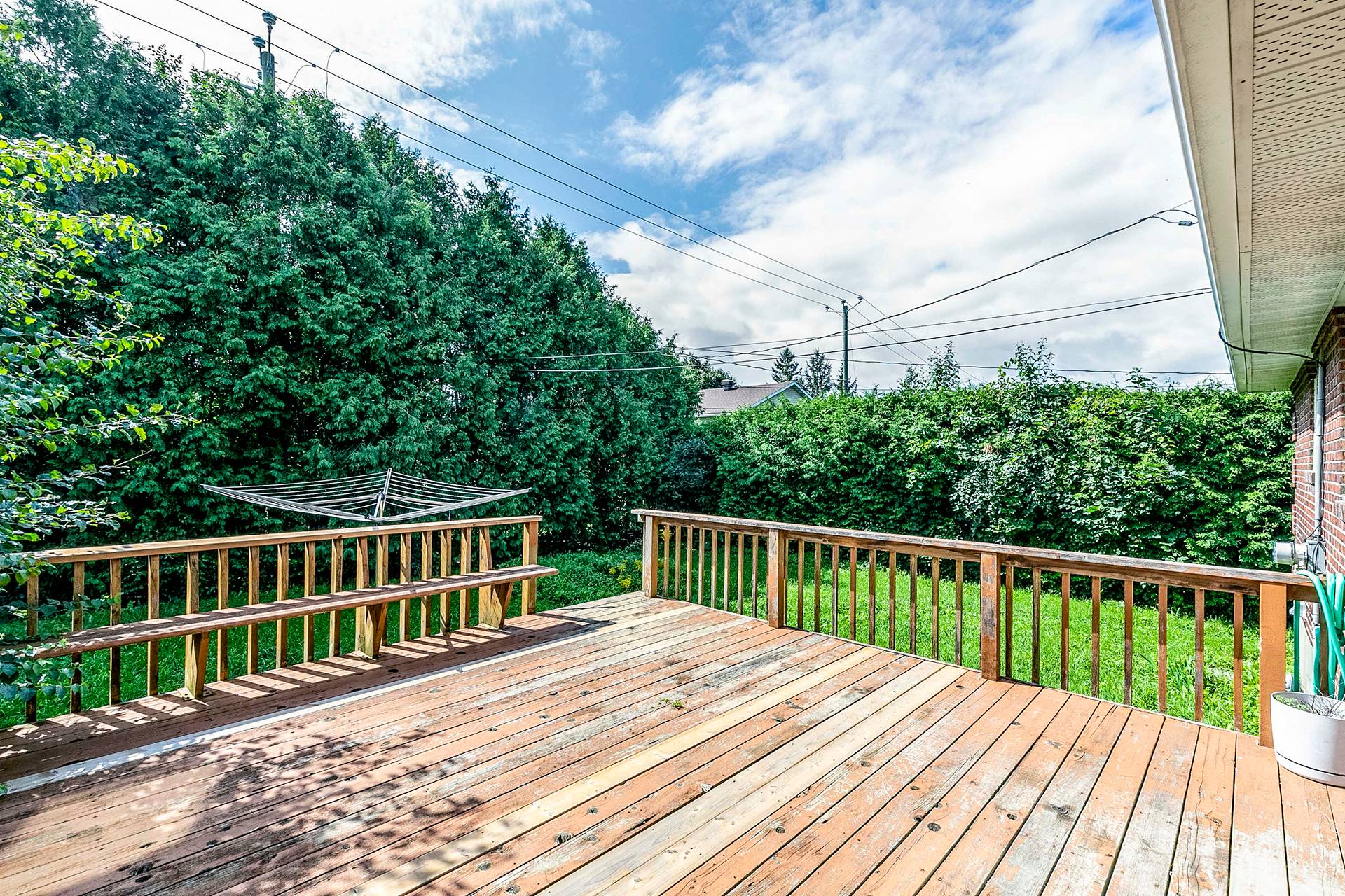 Backyard