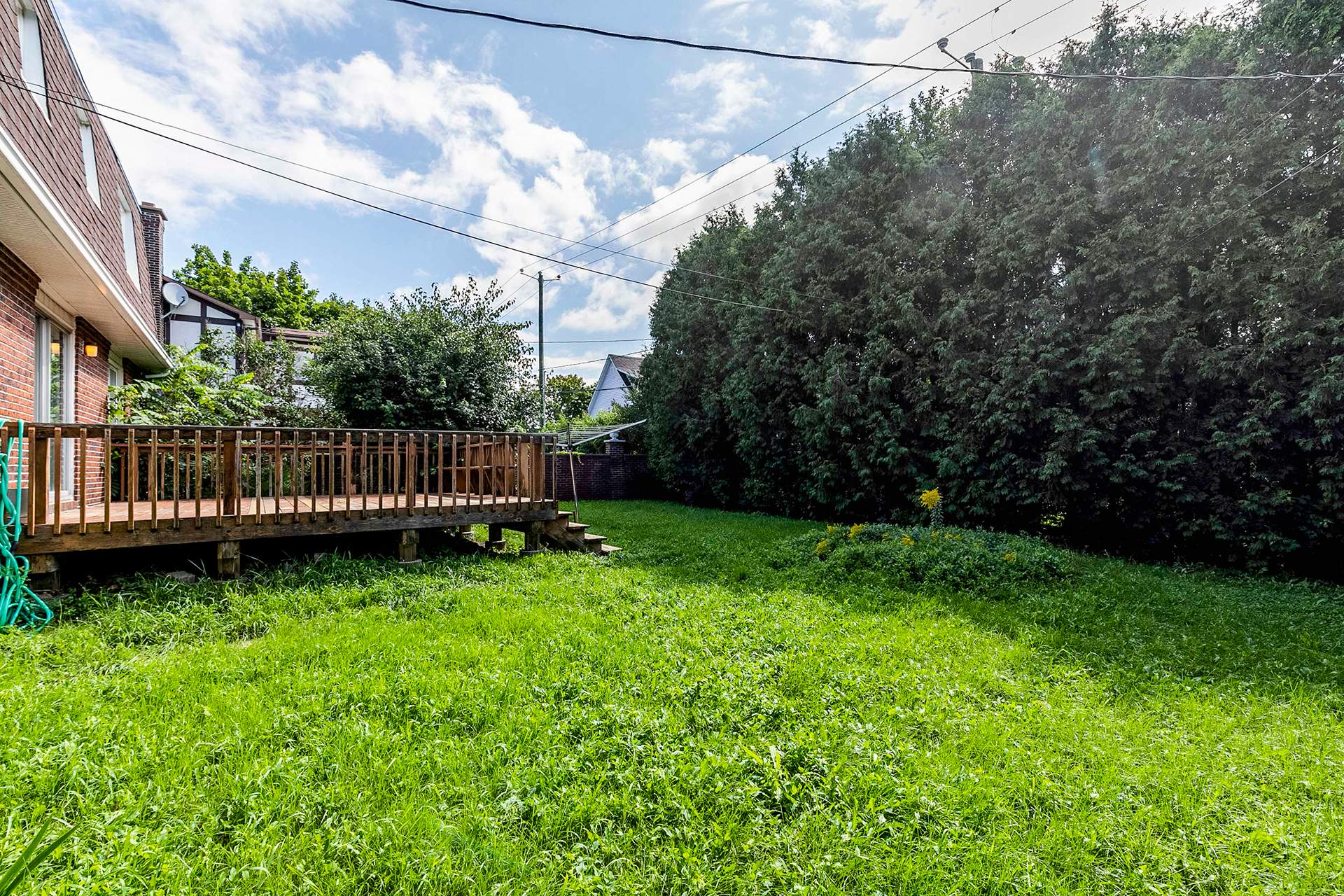 Backyard