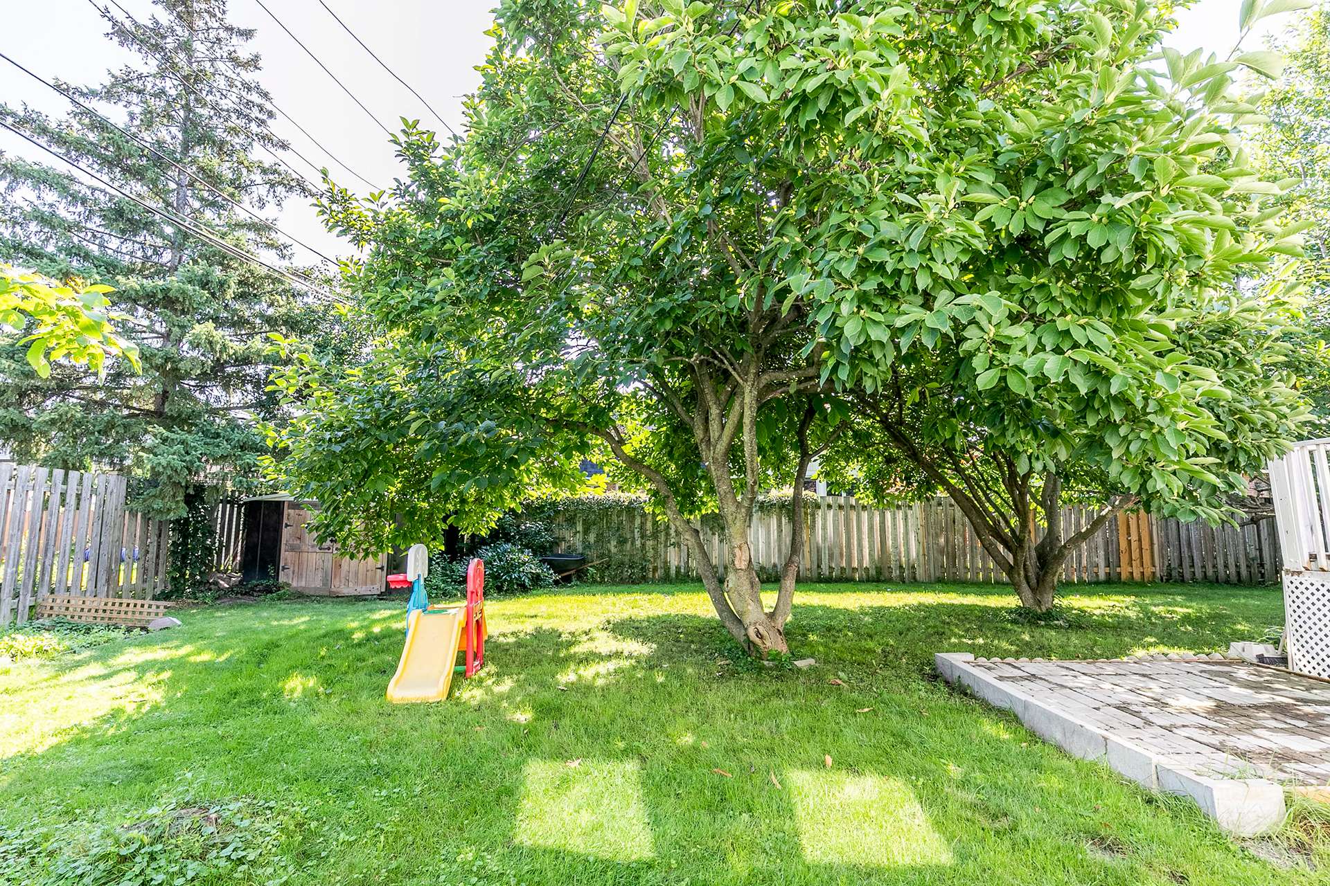 Backyard