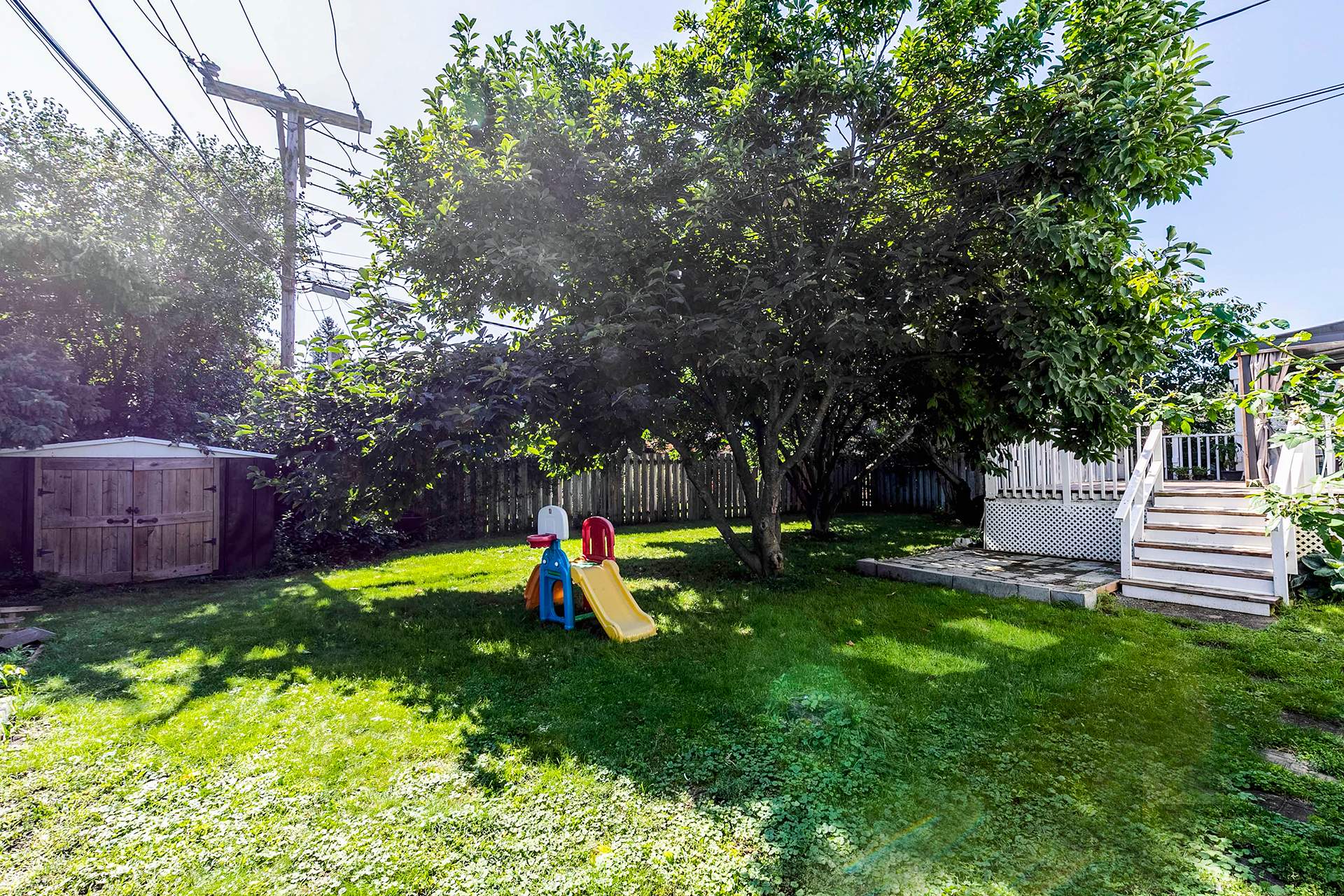 Backyard