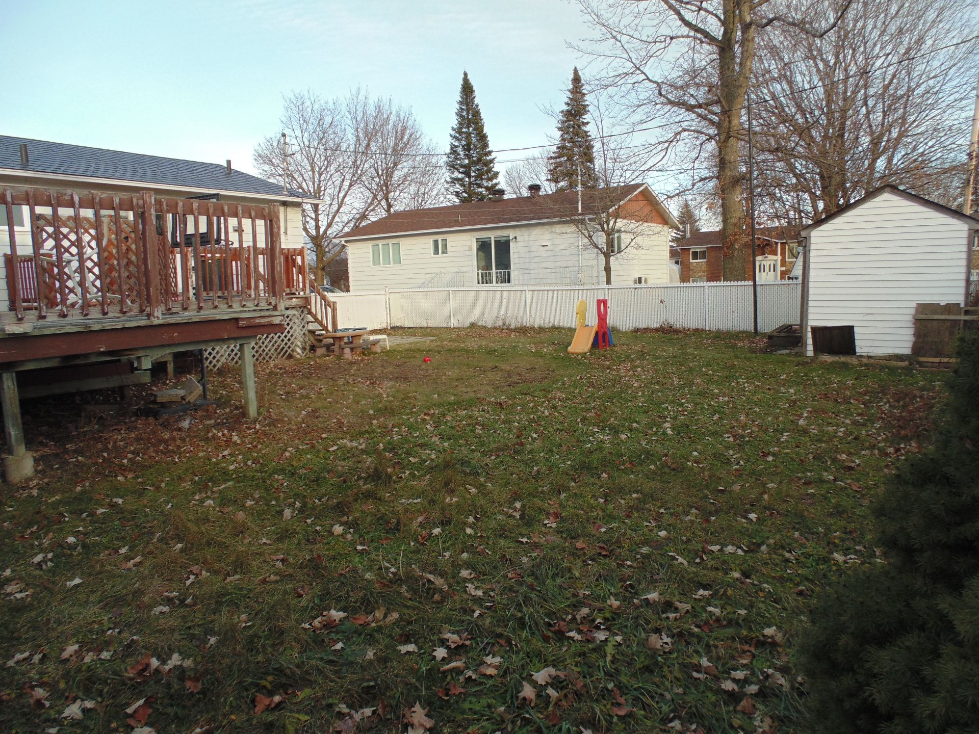 Backyard