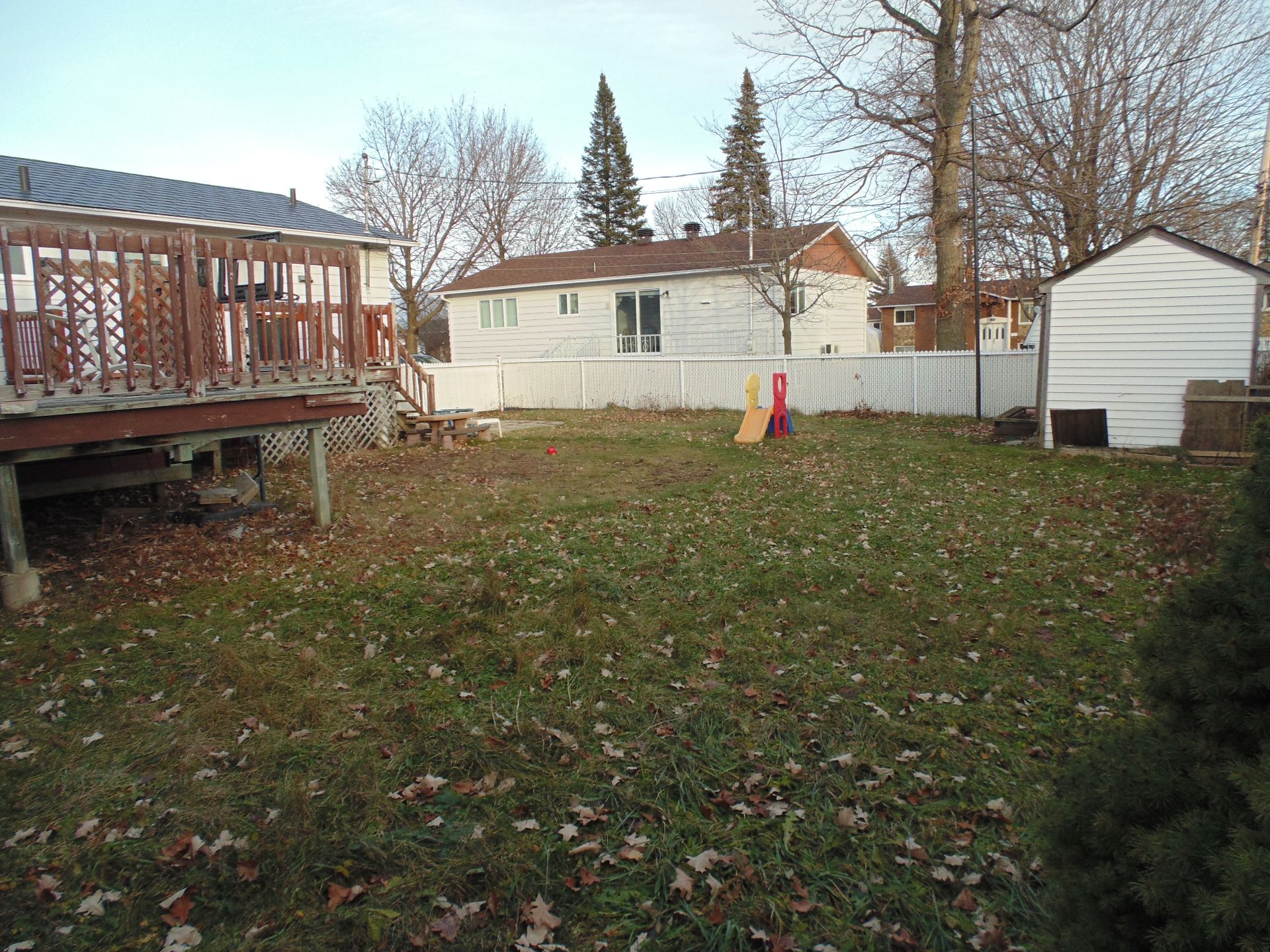 Backyard