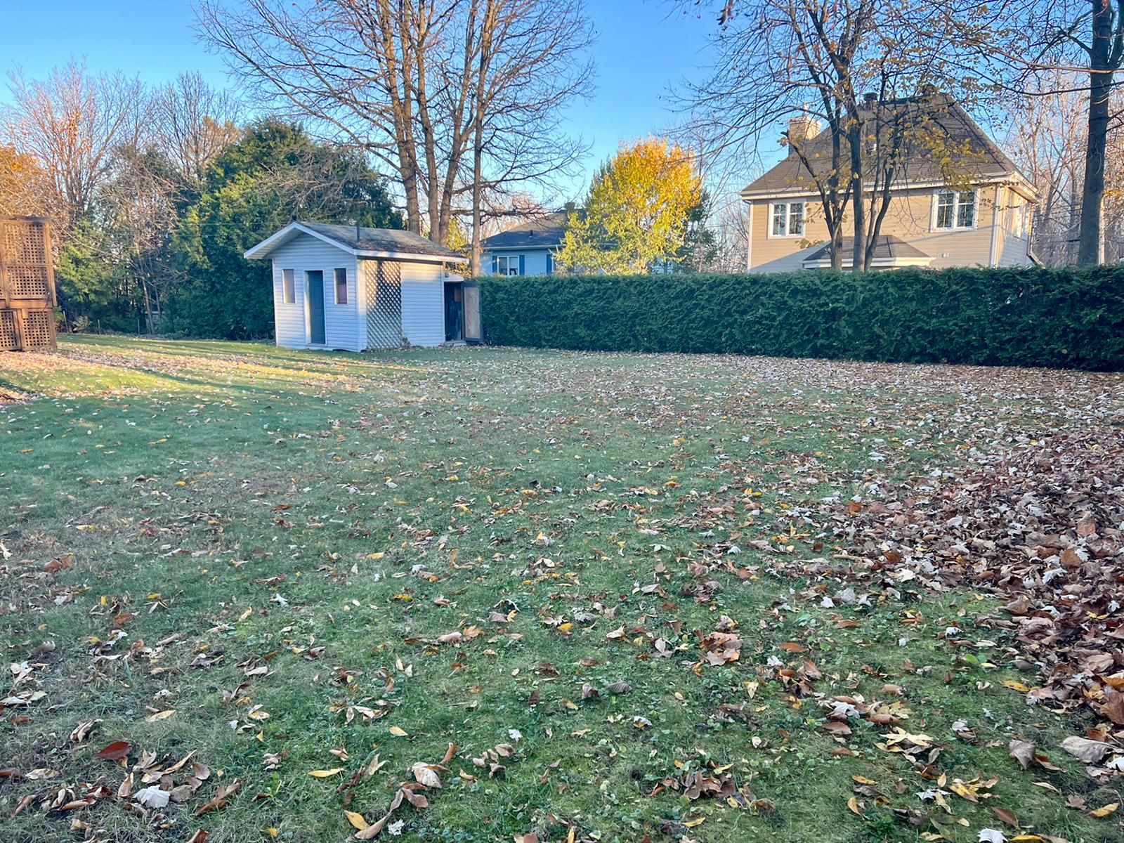 Backyard