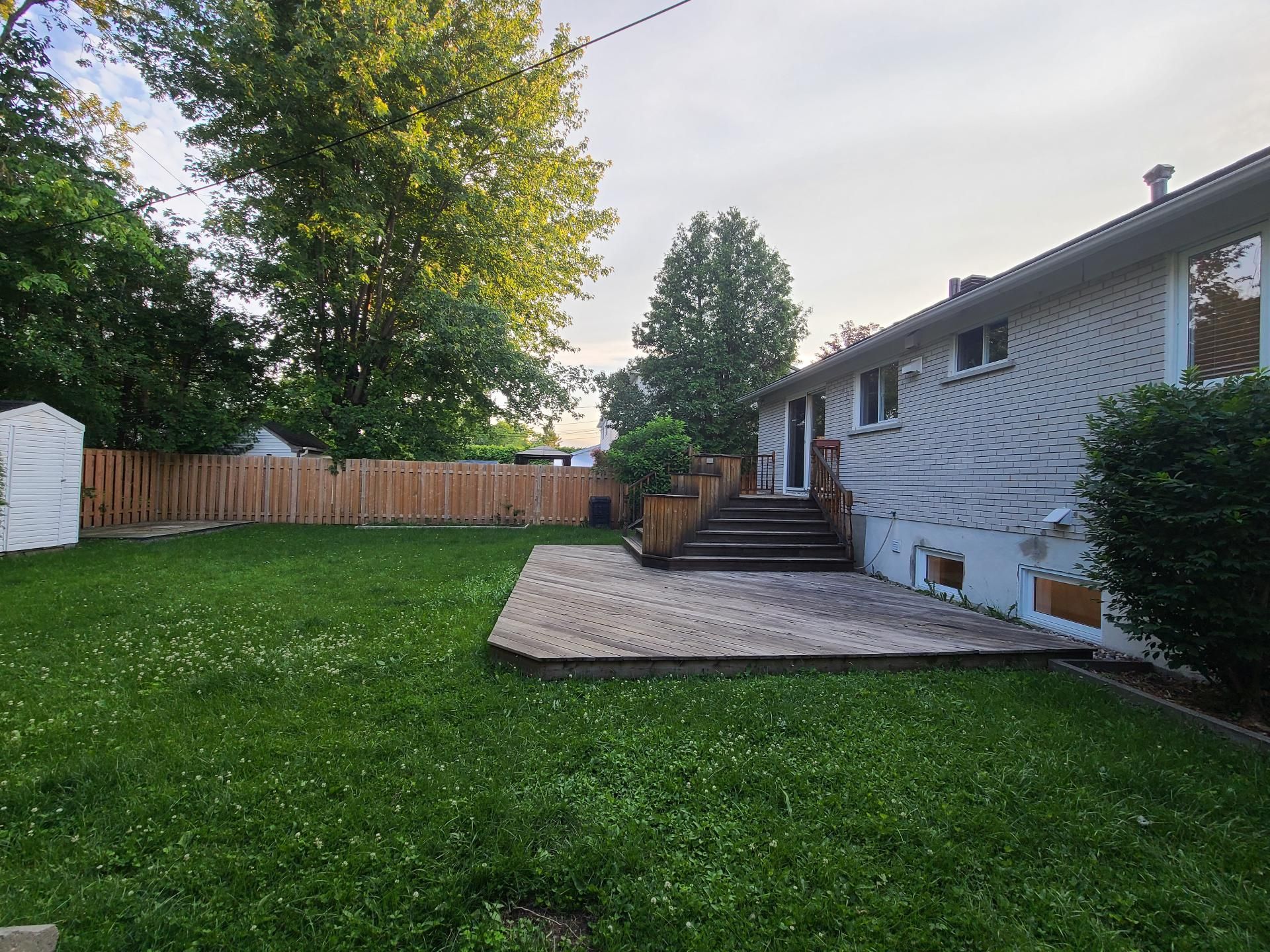 Backyard