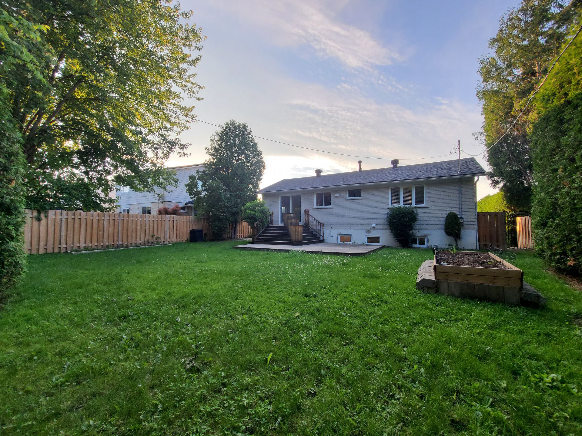 Backyard