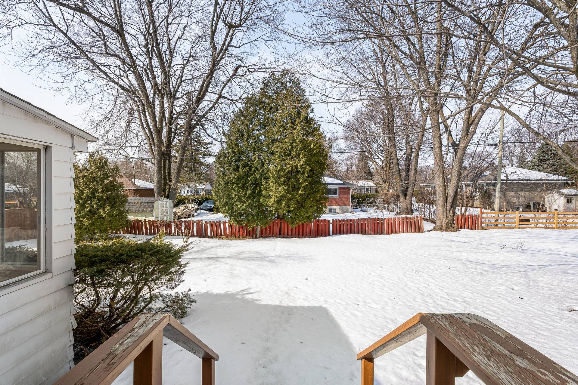 Backyard