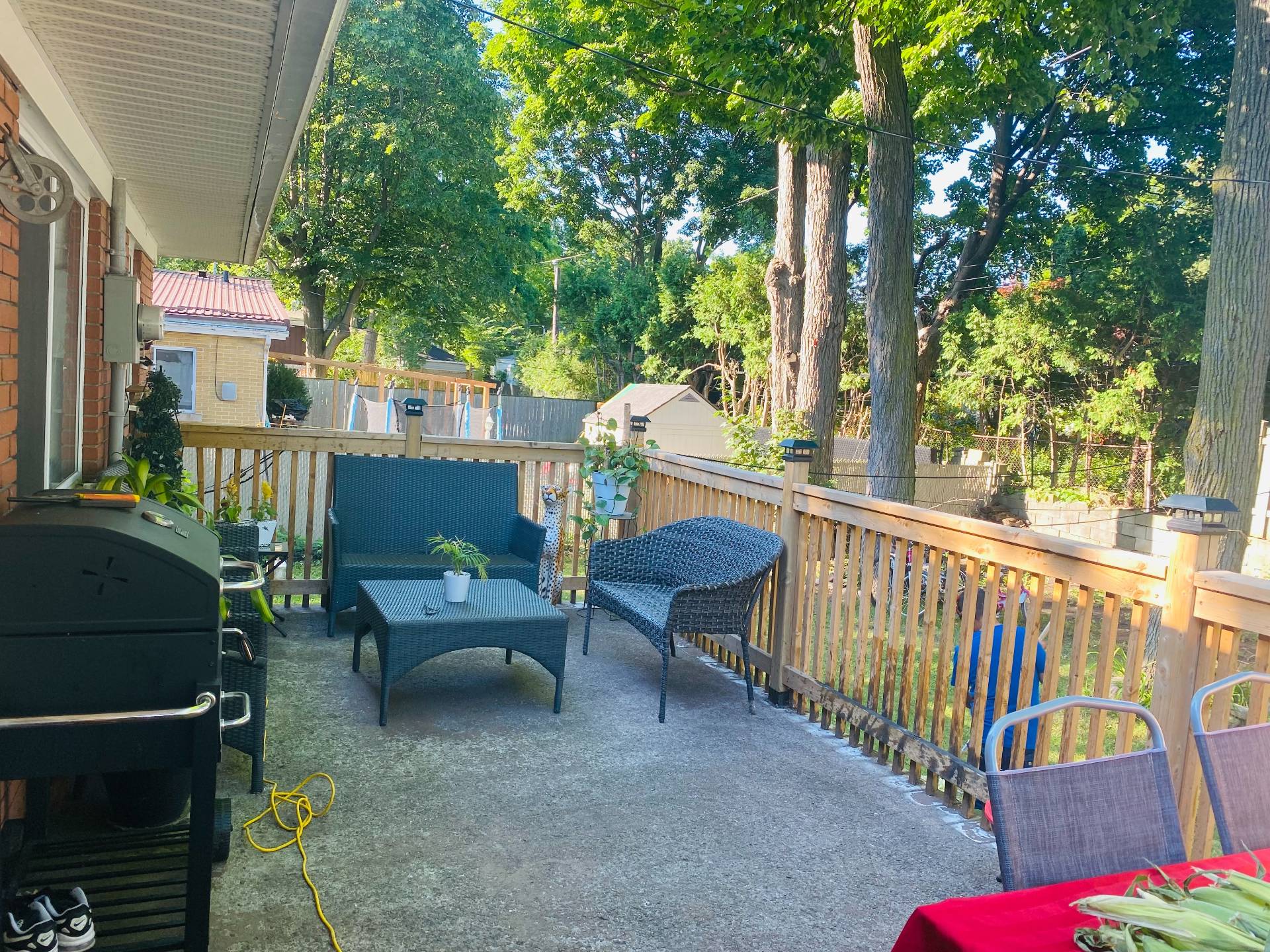 Backyard