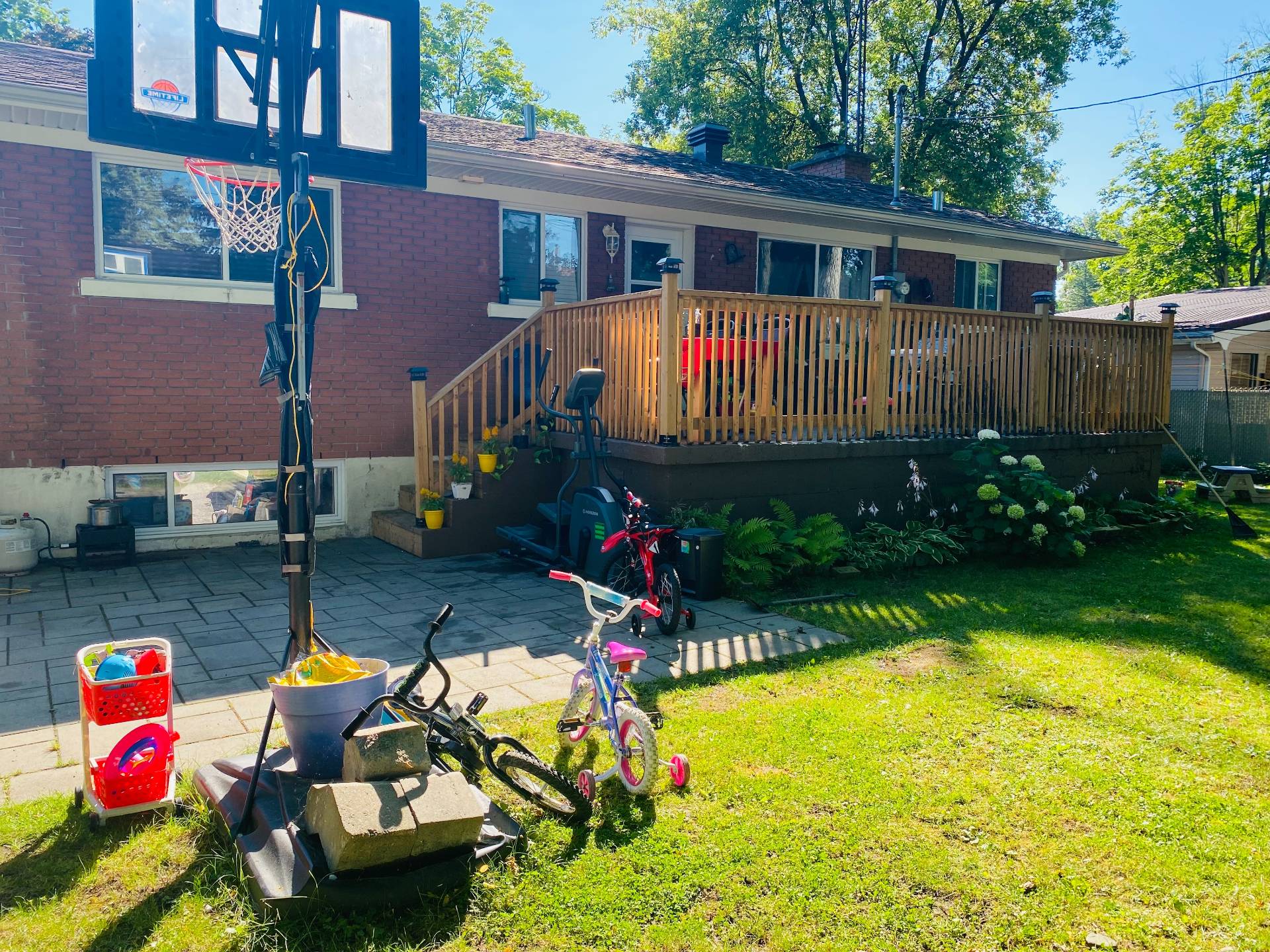 Backyard