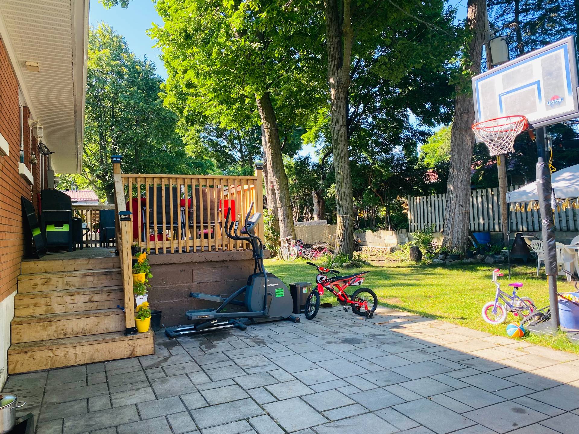 Backyard