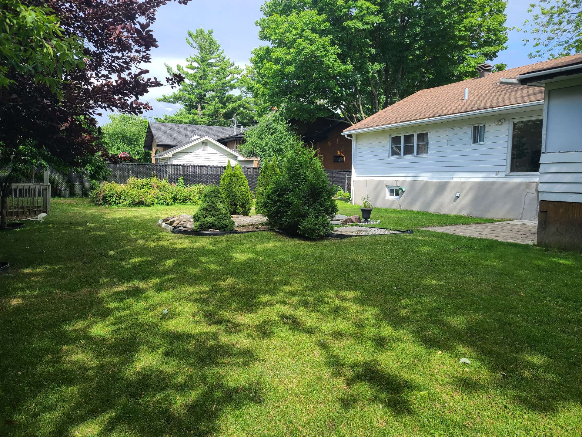 Backyard