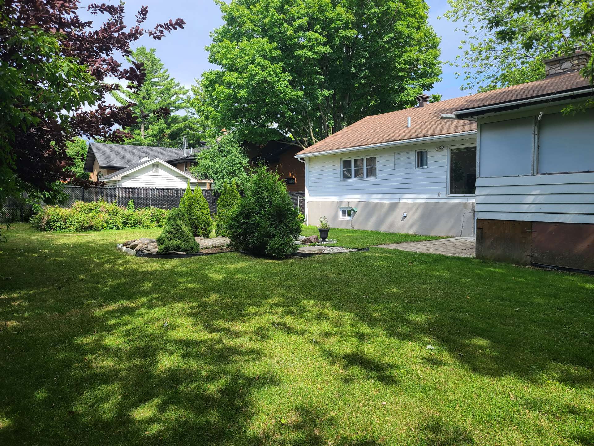 Backyard