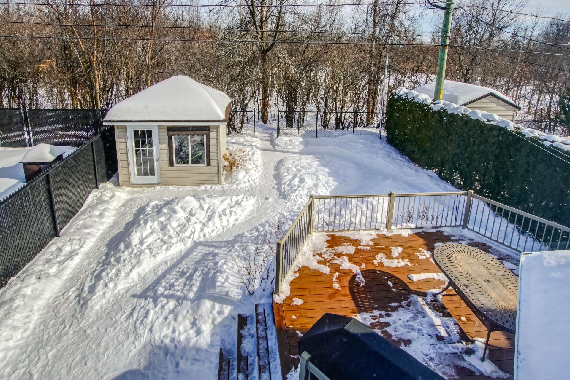 Backyard