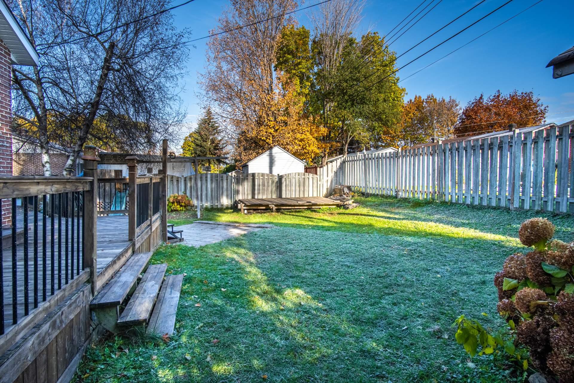 Backyard