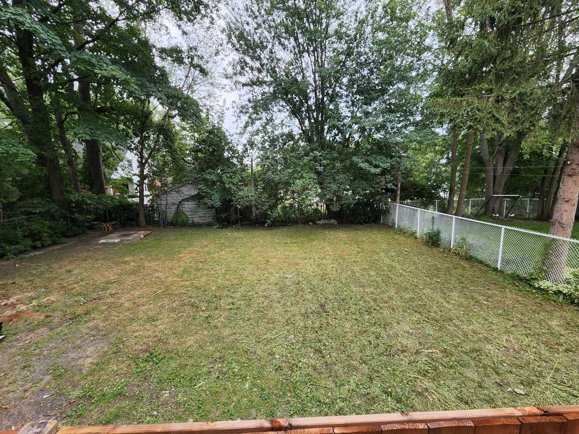 Backyard