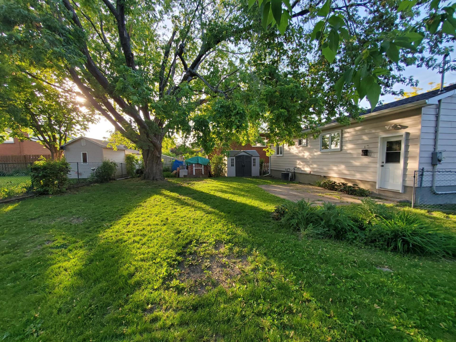 Backyard