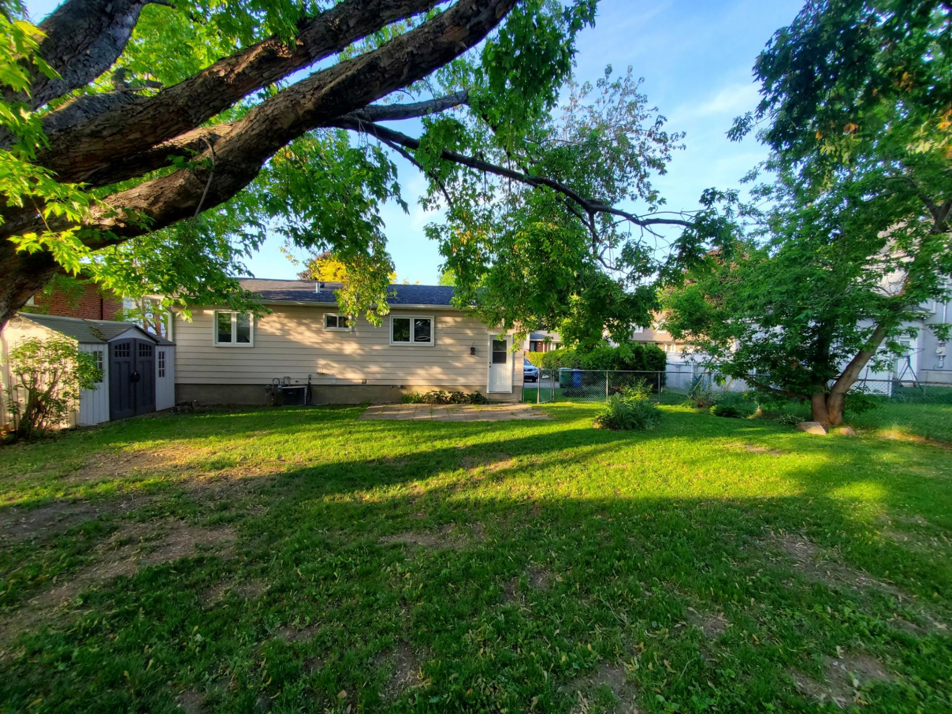 Backyard