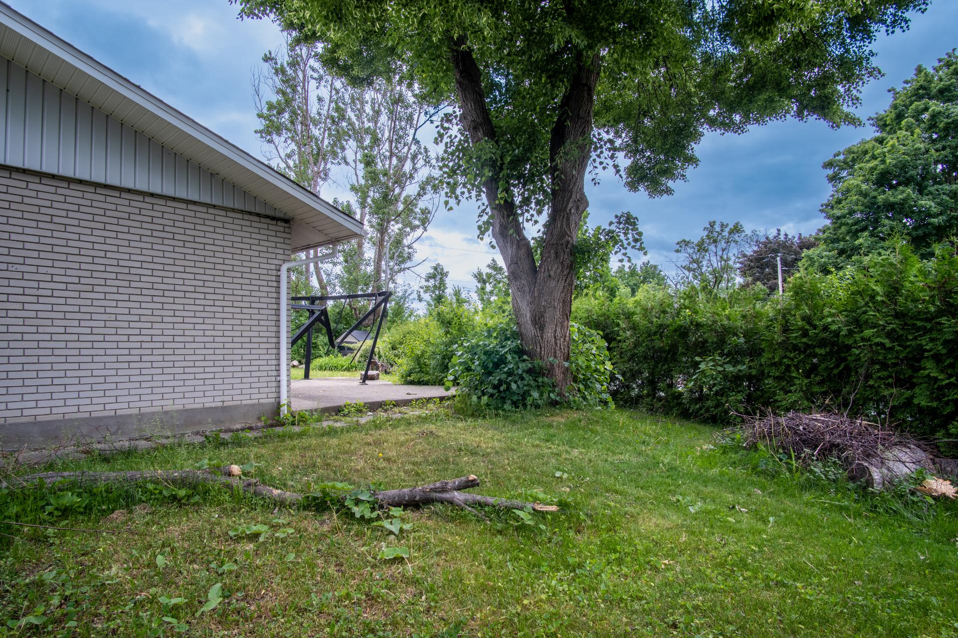 Backyard