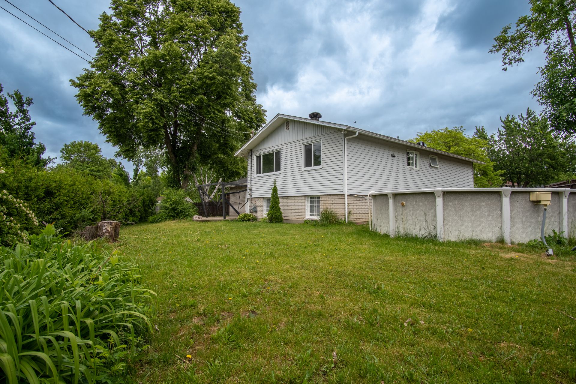 Backyard