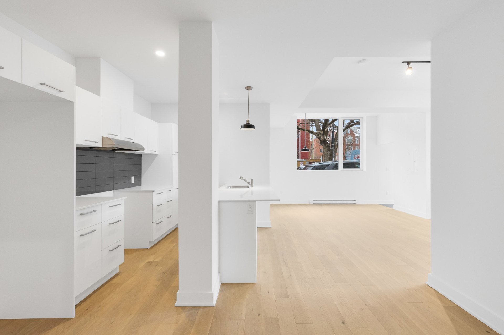 Vue d'ensemble – 5410, Av. Papineau, app. 106
