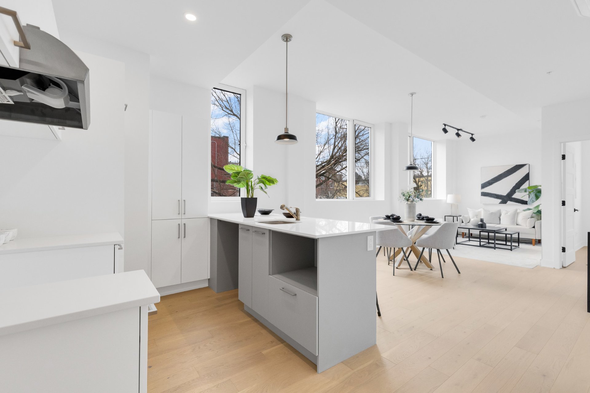 Overall view – 5410, Av. Papineau, apt. 207
