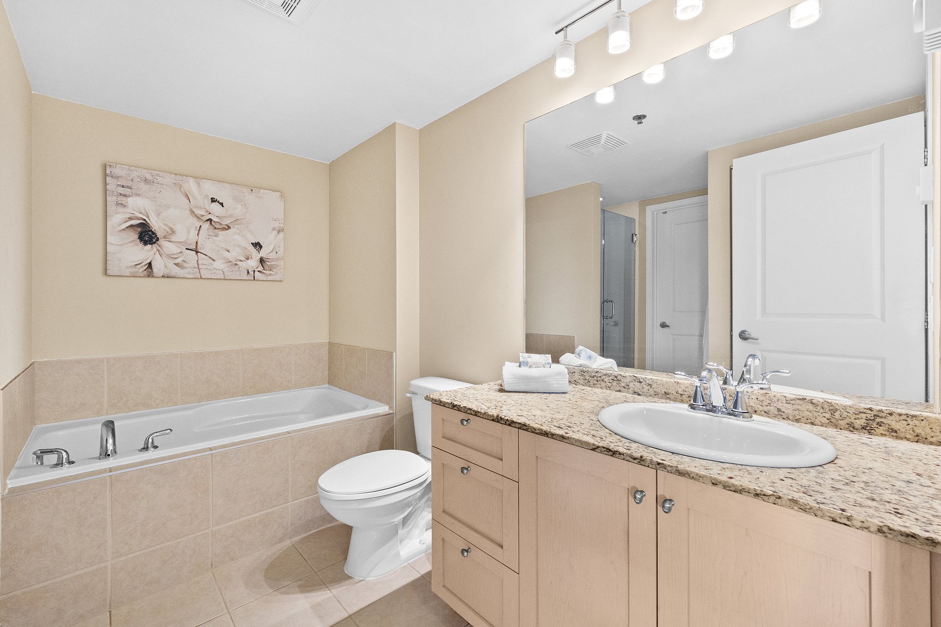 Bathroom – 1280, Rue St-Jacques, apt. 1301