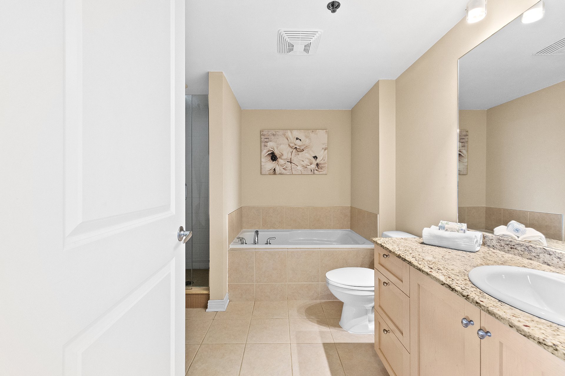 Bathroom – 1280, Rue St-Jacques, apt. 1301