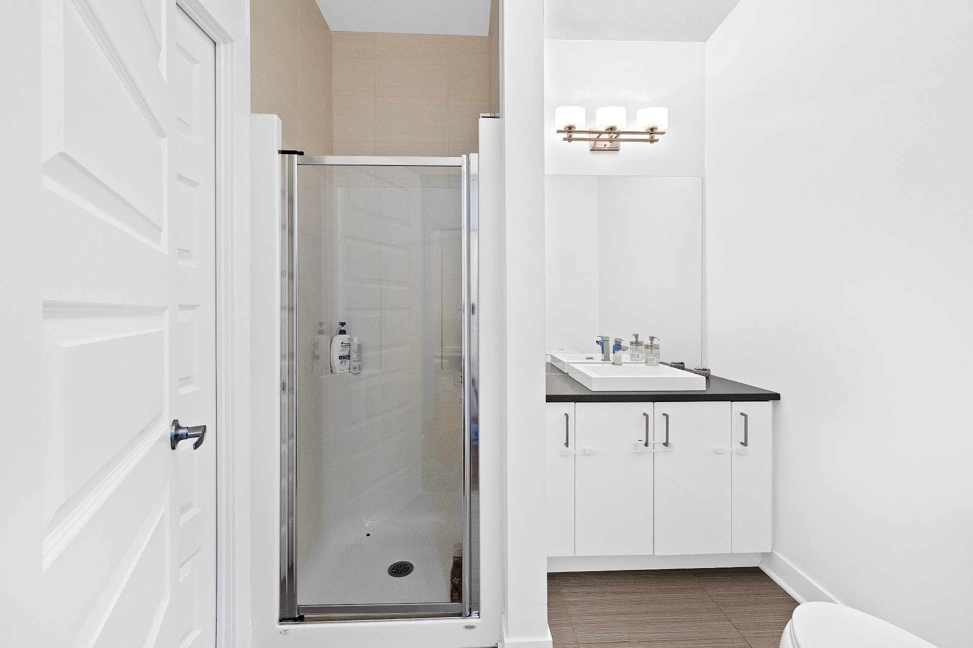 Bathroom – 1055, Rue De La Gauchetière E., apt. 301