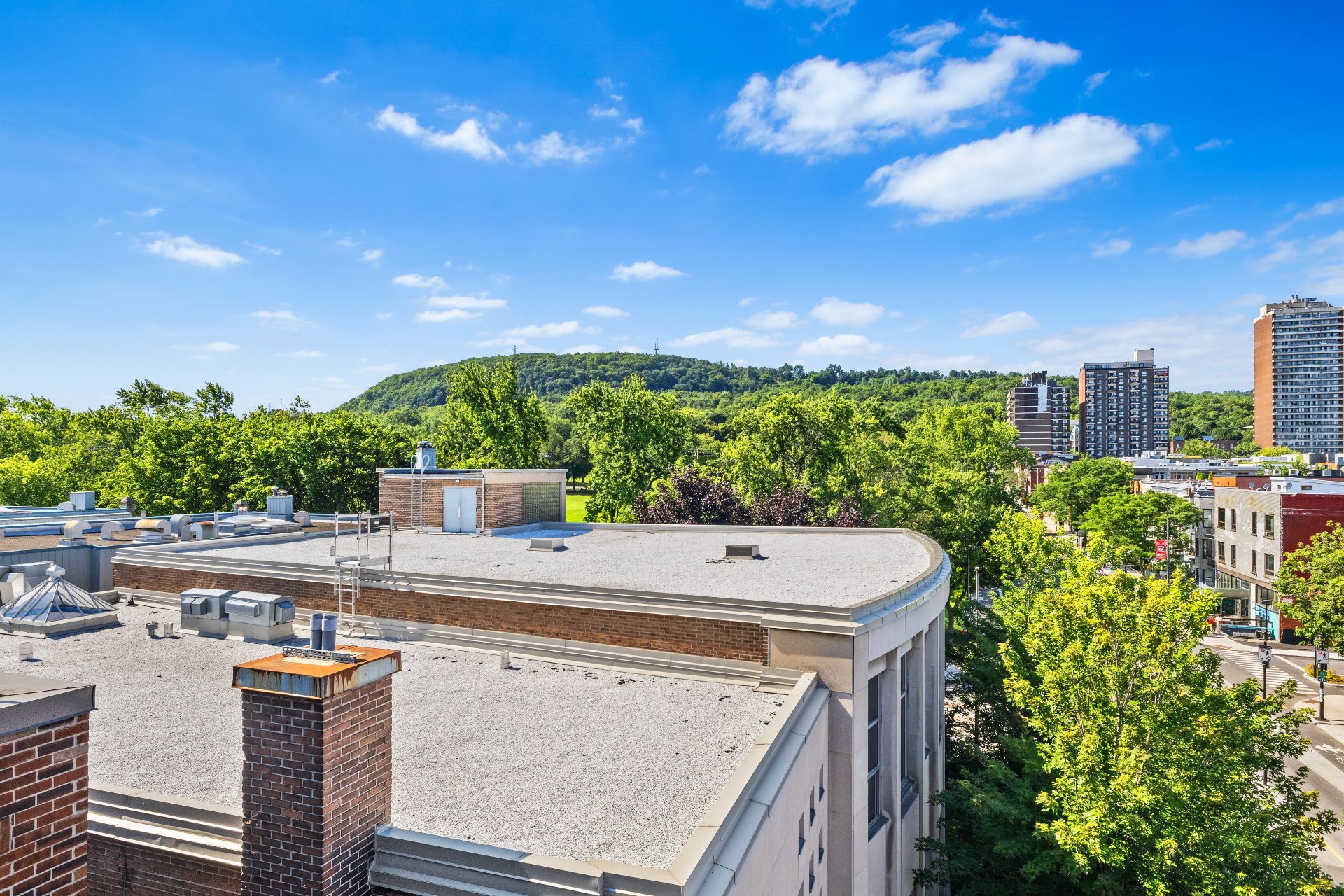 View – 4490, Rue St-Urbain, apt. 402