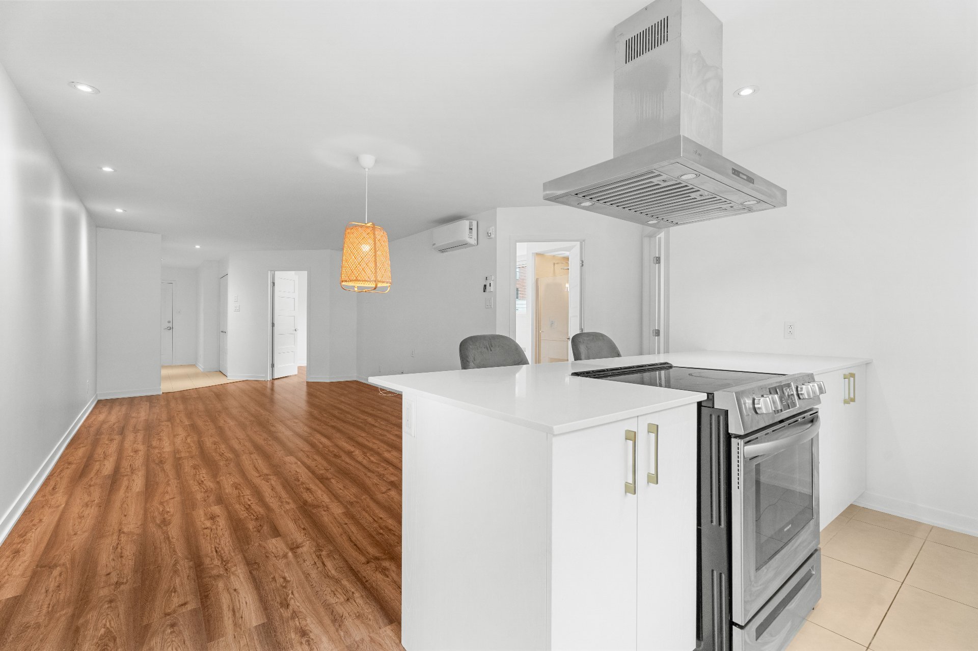 Overall view – 9150, Rue Lennon, apt. 1