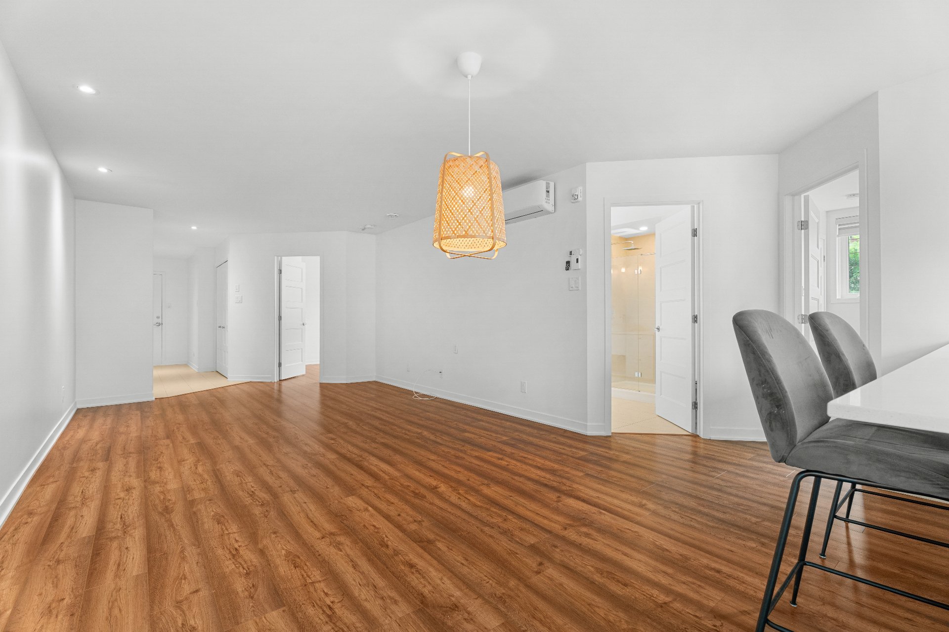 Overall view – 9150, Rue Lennon, apt. 1