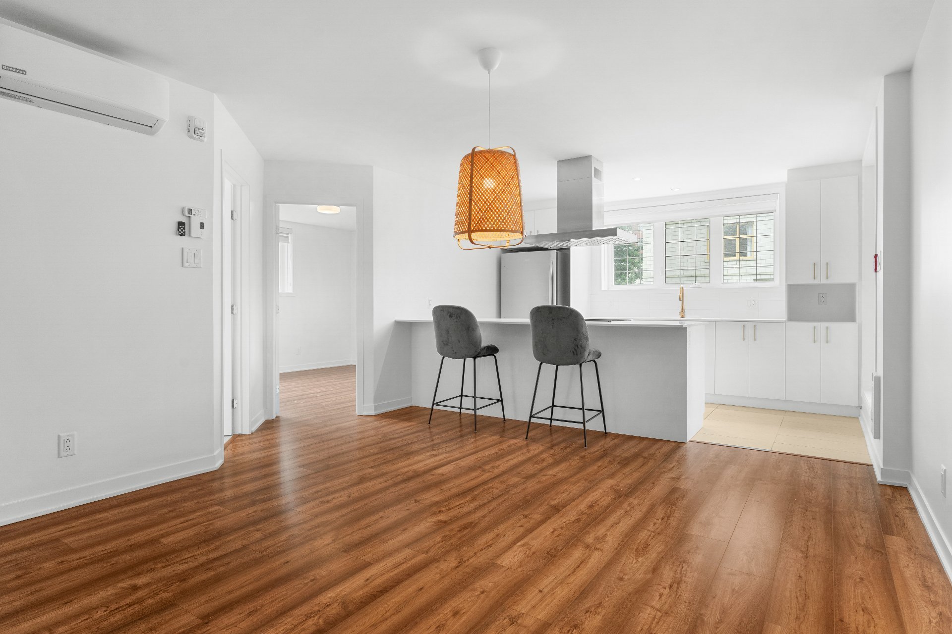 Overall view – 9150, Rue Lennon, apt. 1