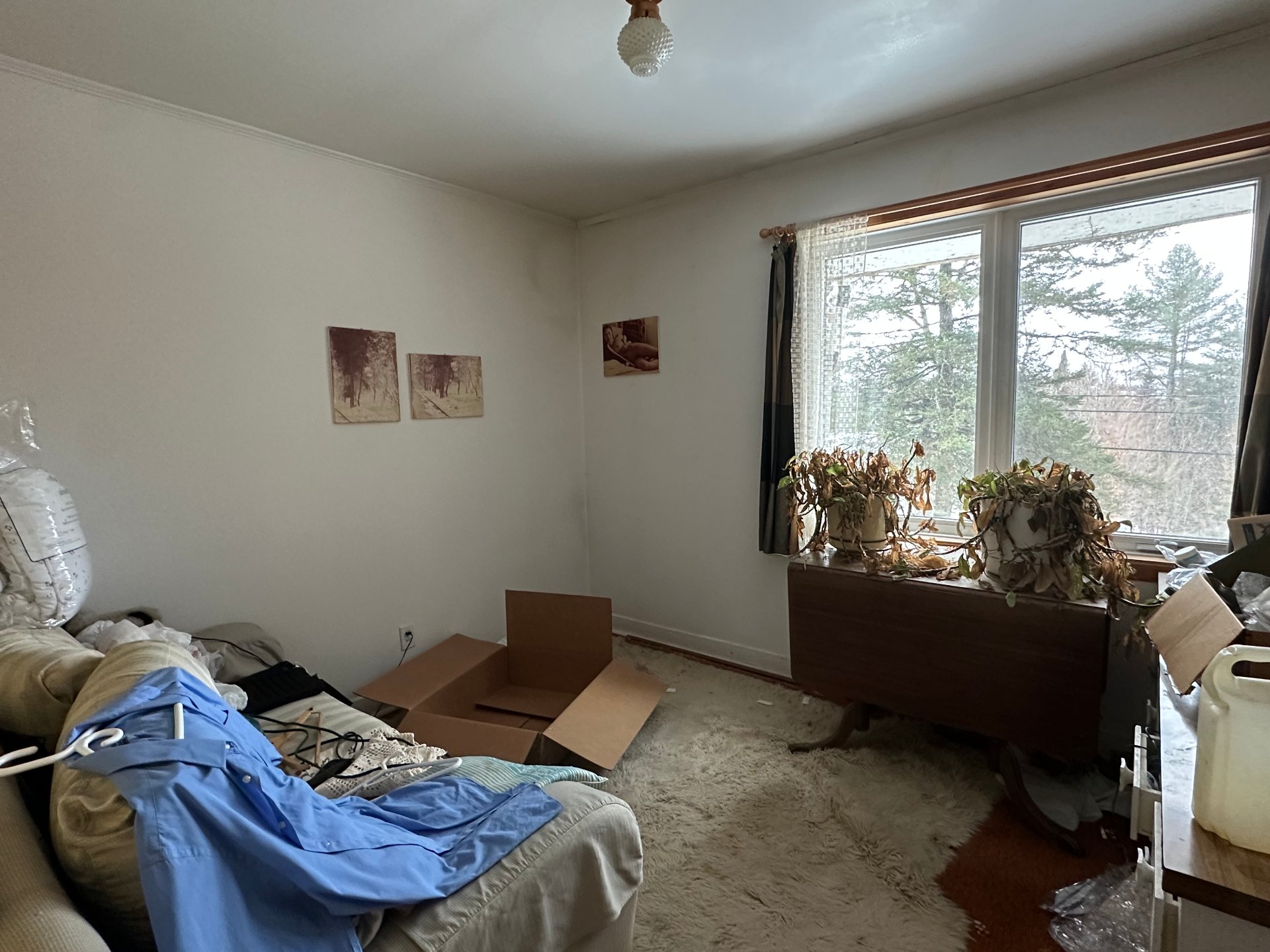 2665 Rue Tally Ho thumbnail 9