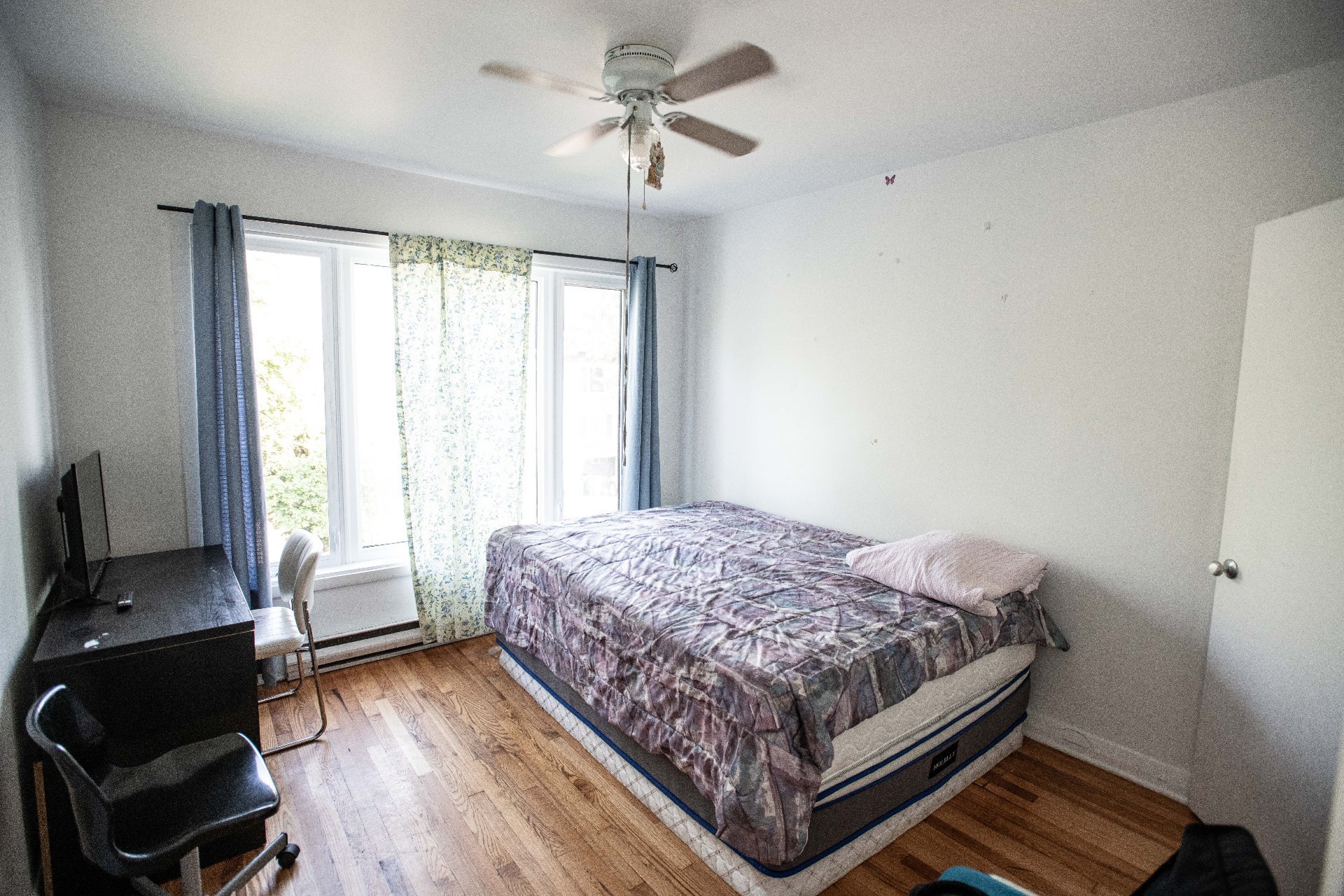 Triplex — 22