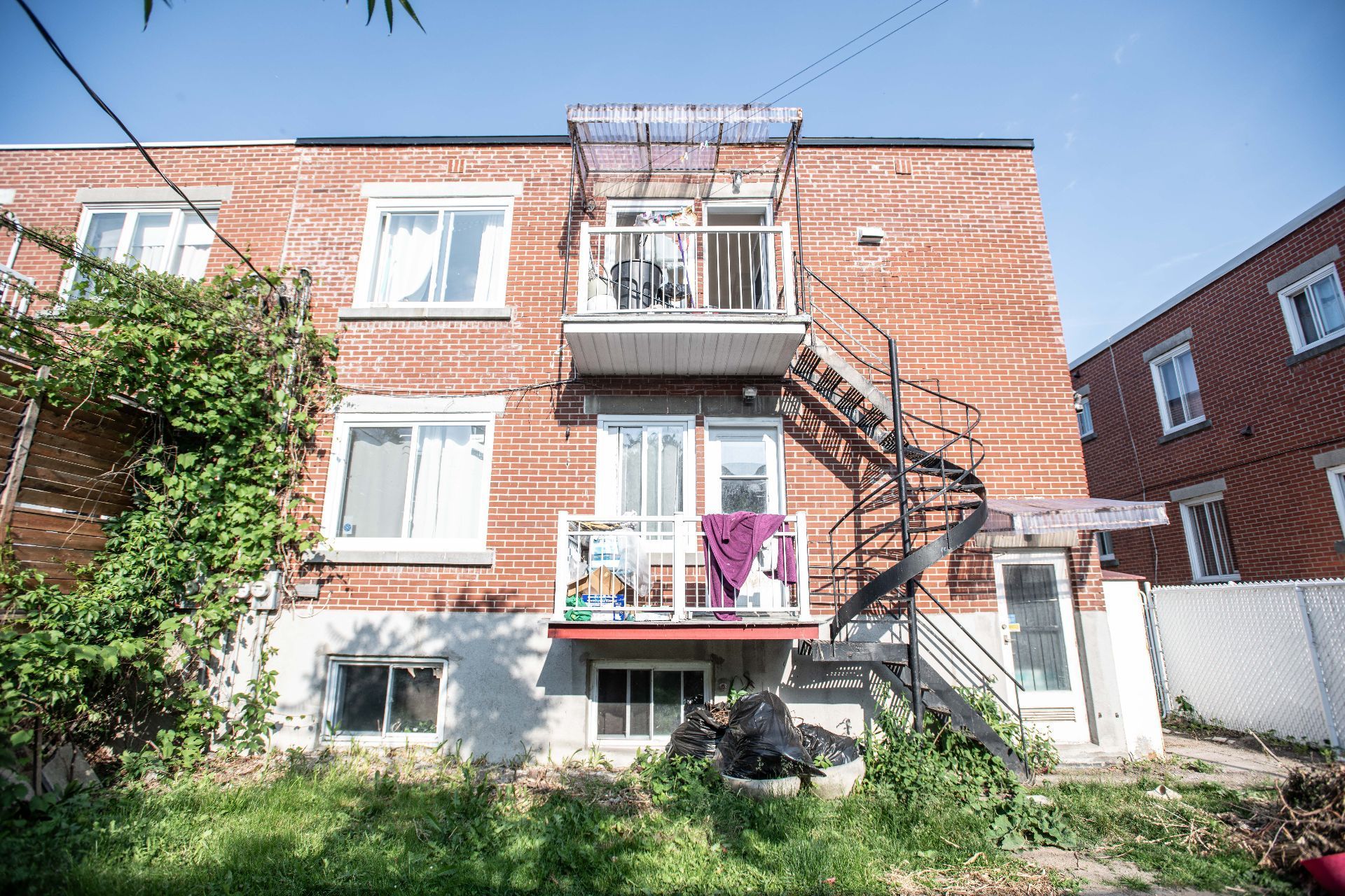 Triplex — 31