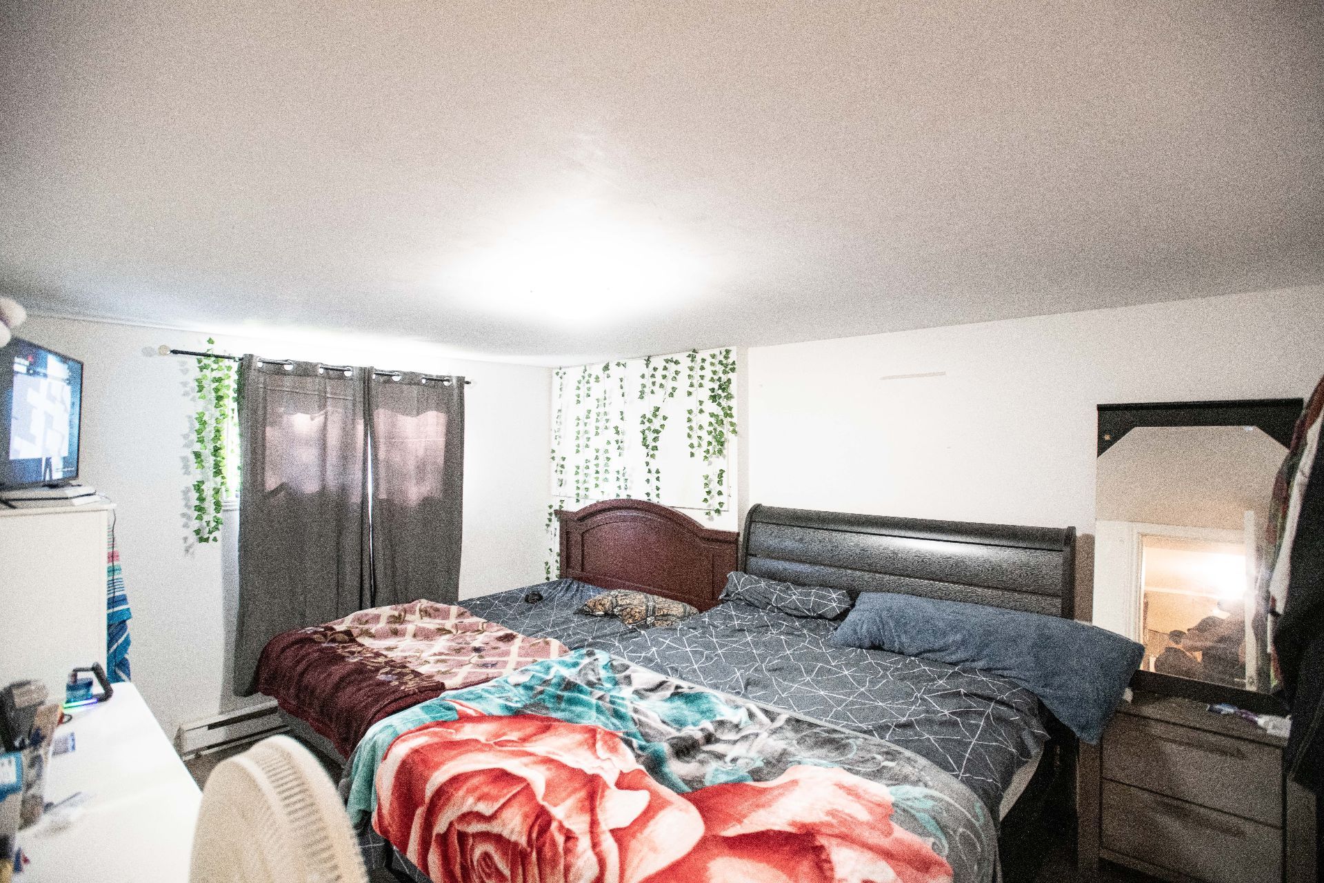 Triplex — 17