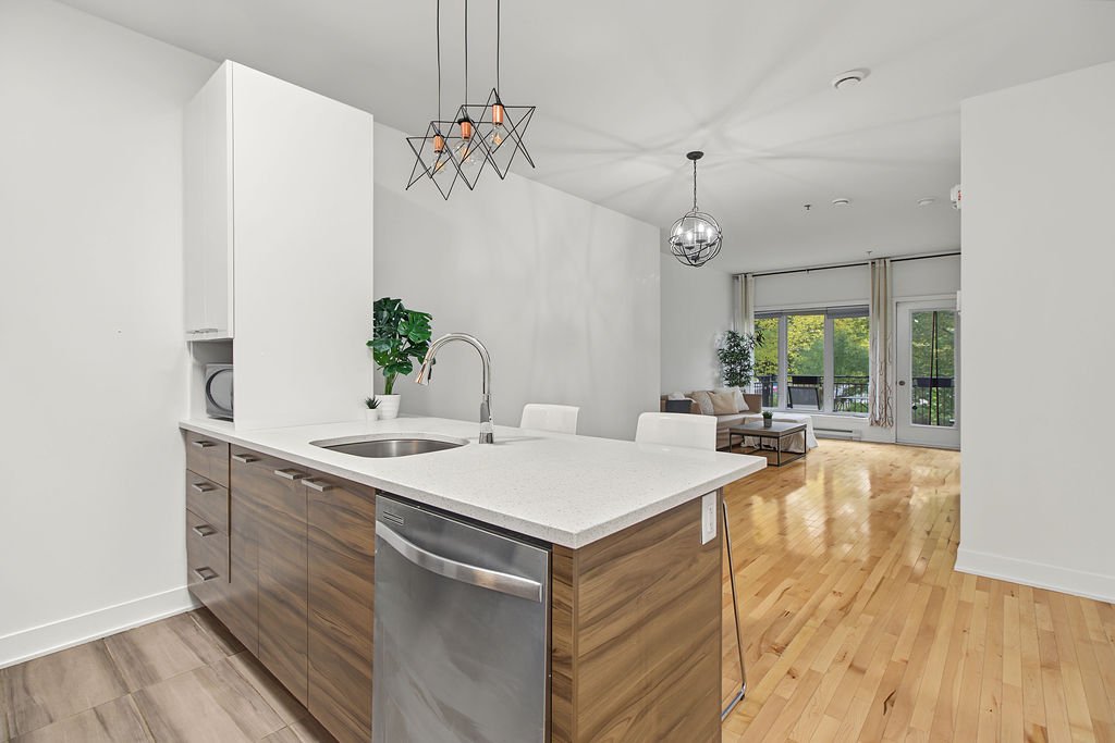 Overall view – 4751, Rue St-Ambroise, apt. 104