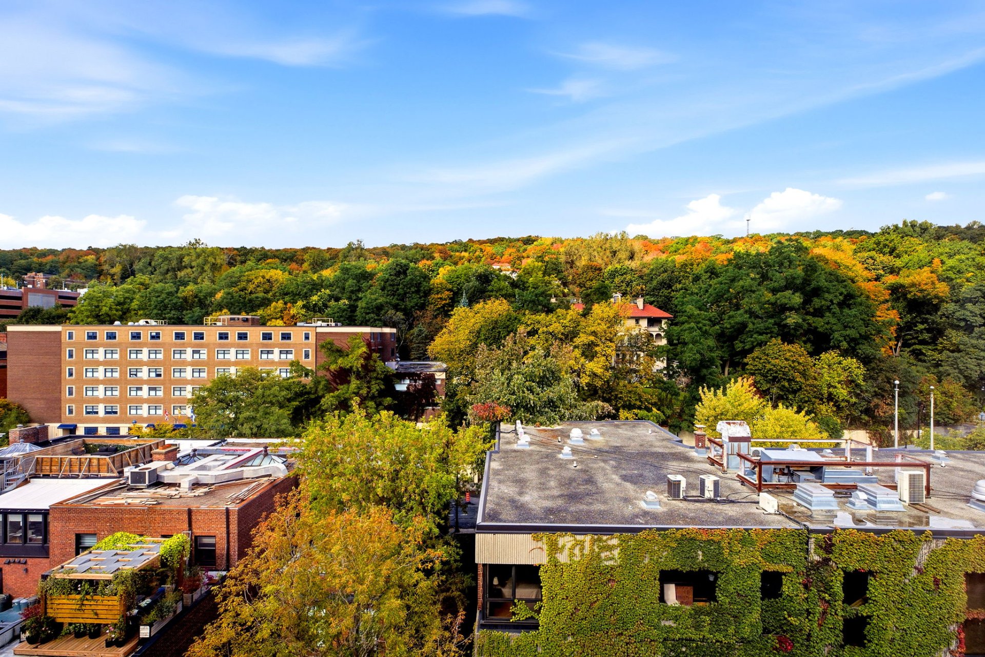 View – 1515, Av. du Docteur-Penfield, apt. 1005