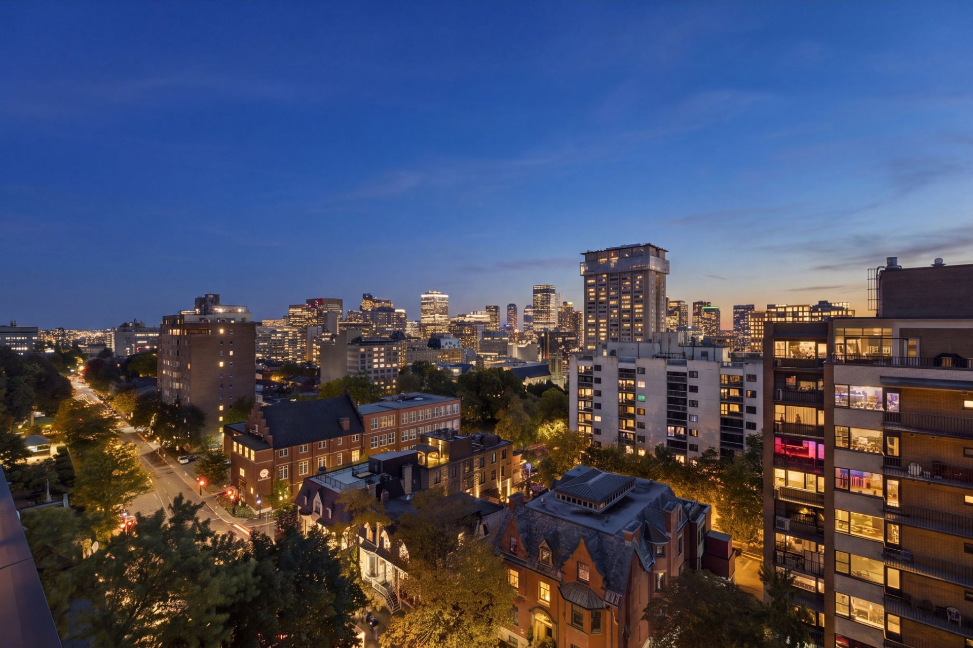 View – 1515, Av. du Docteur-Penfield, apt. 1005