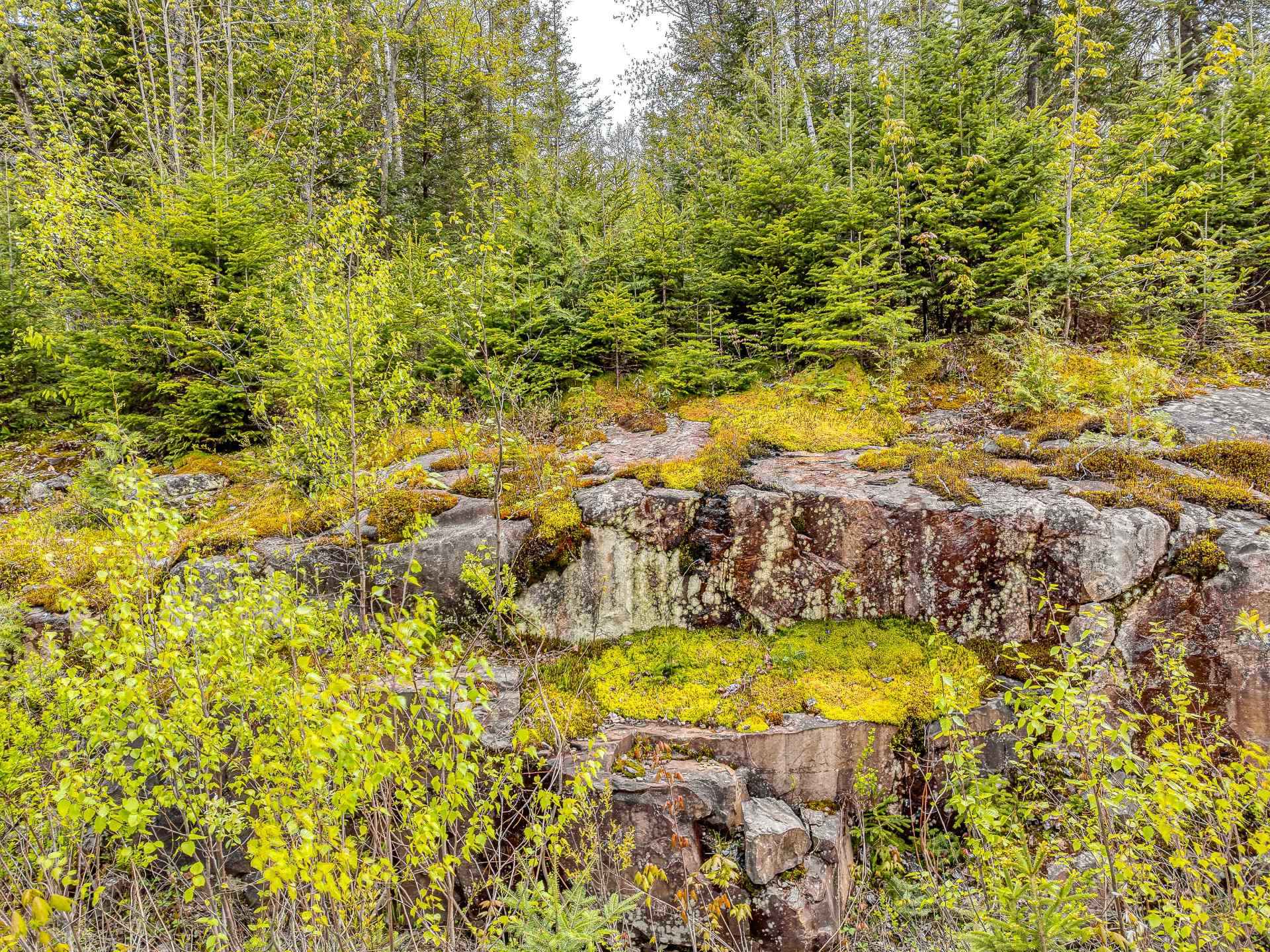 Terrain — 6