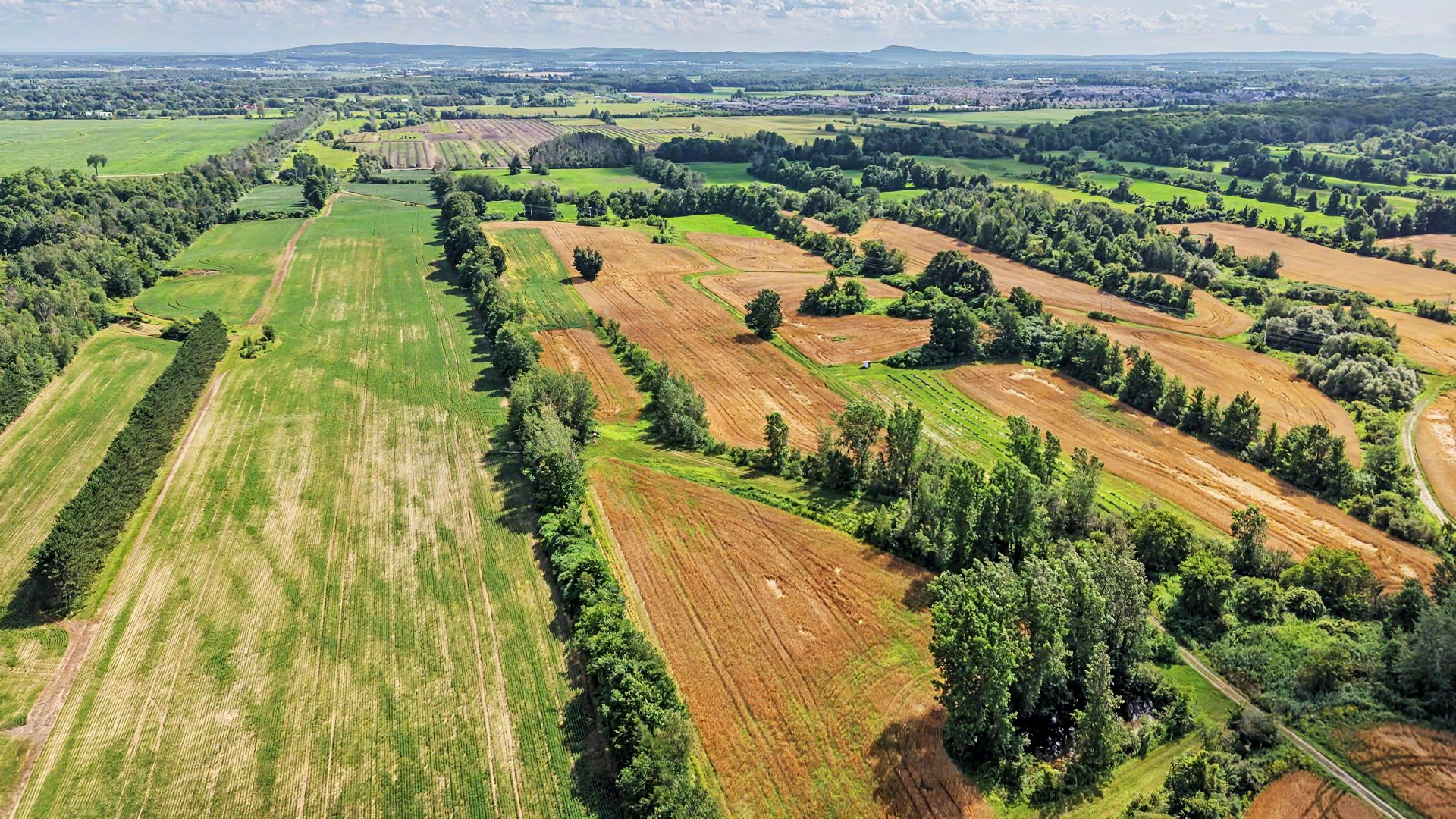 Photo 4 de la propriété
