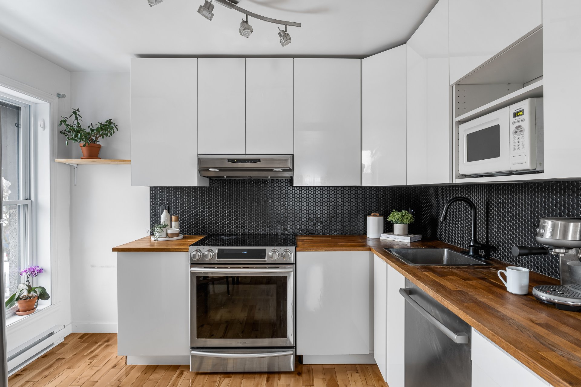 283B Rue Roy E. H2W1M7 miniature 30