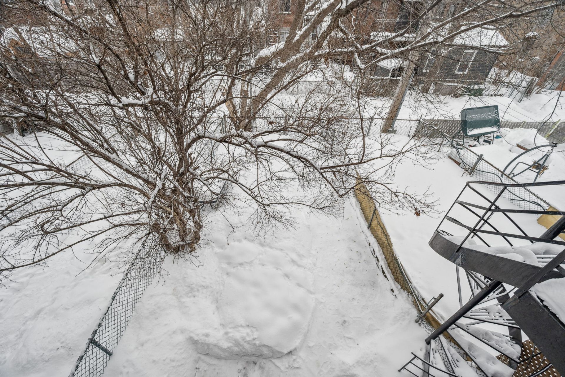 3443-3449 Rue Dézéry H1W2S8 miniature 29