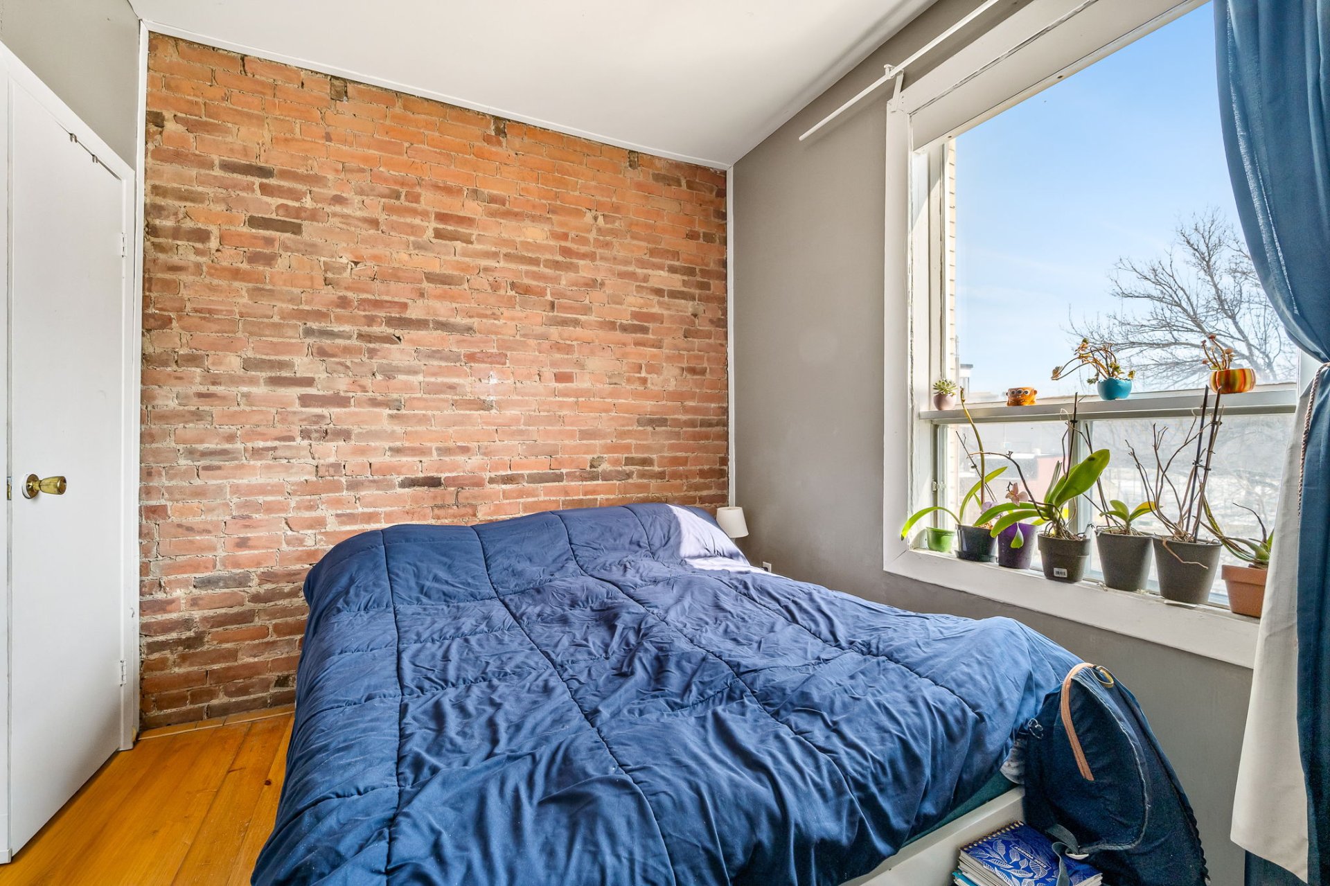 2369-2373 Rue de Rouen H2K1M1 miniature 27