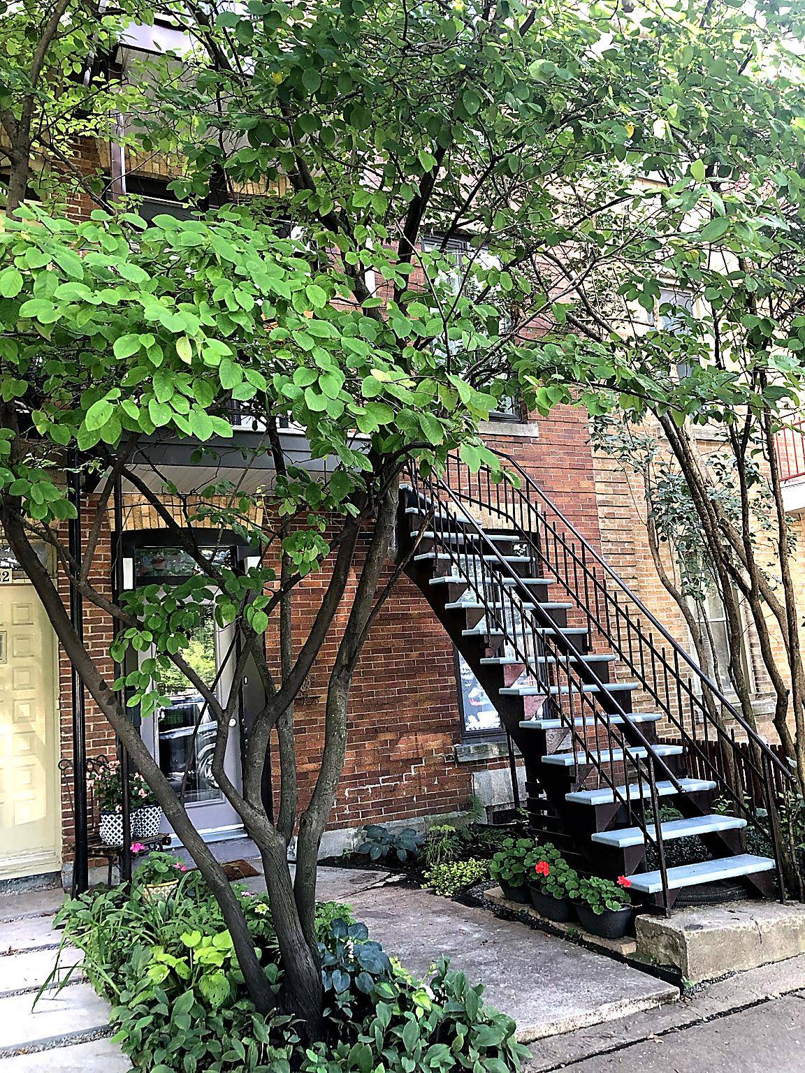 4424-4428 Rue Fullum H2H2J7 miniature 43