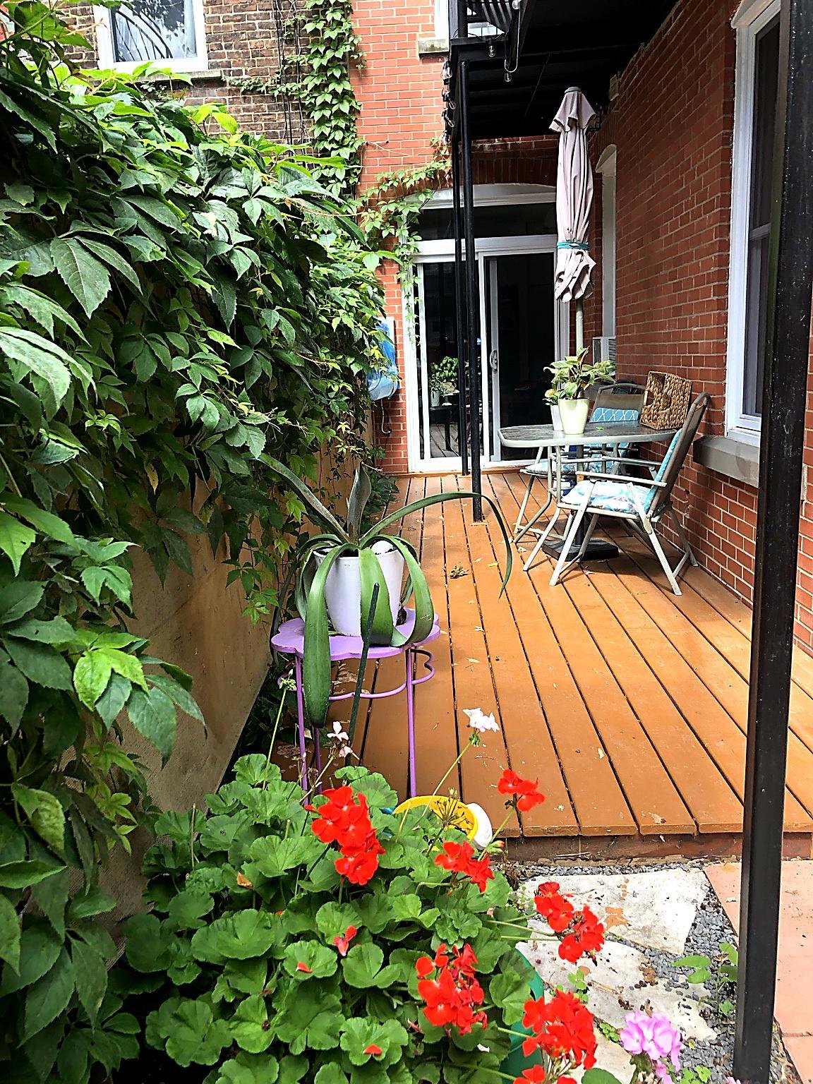 4424-4428 Rue Fullum H2H2J7 miniature 41